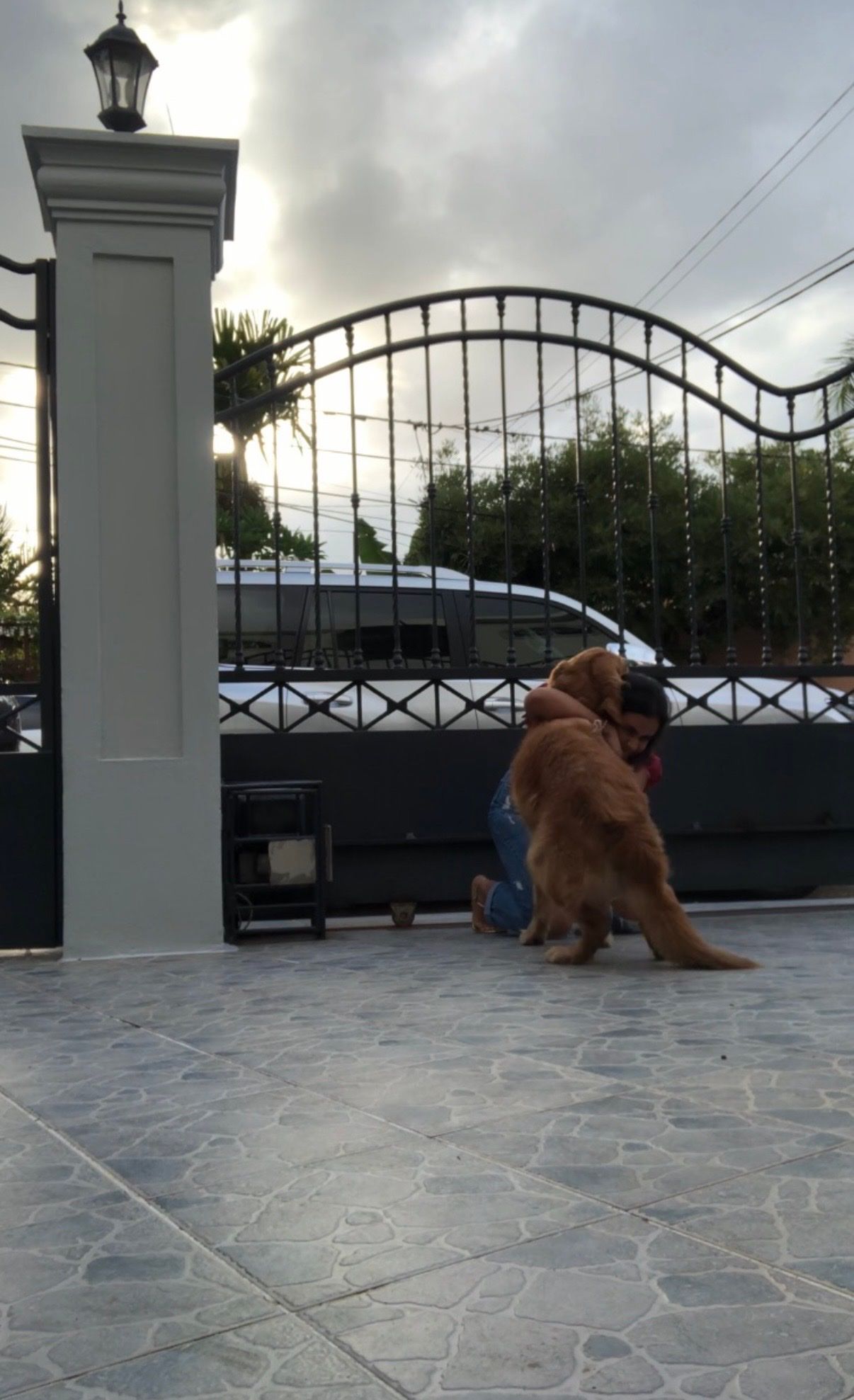 image-7
