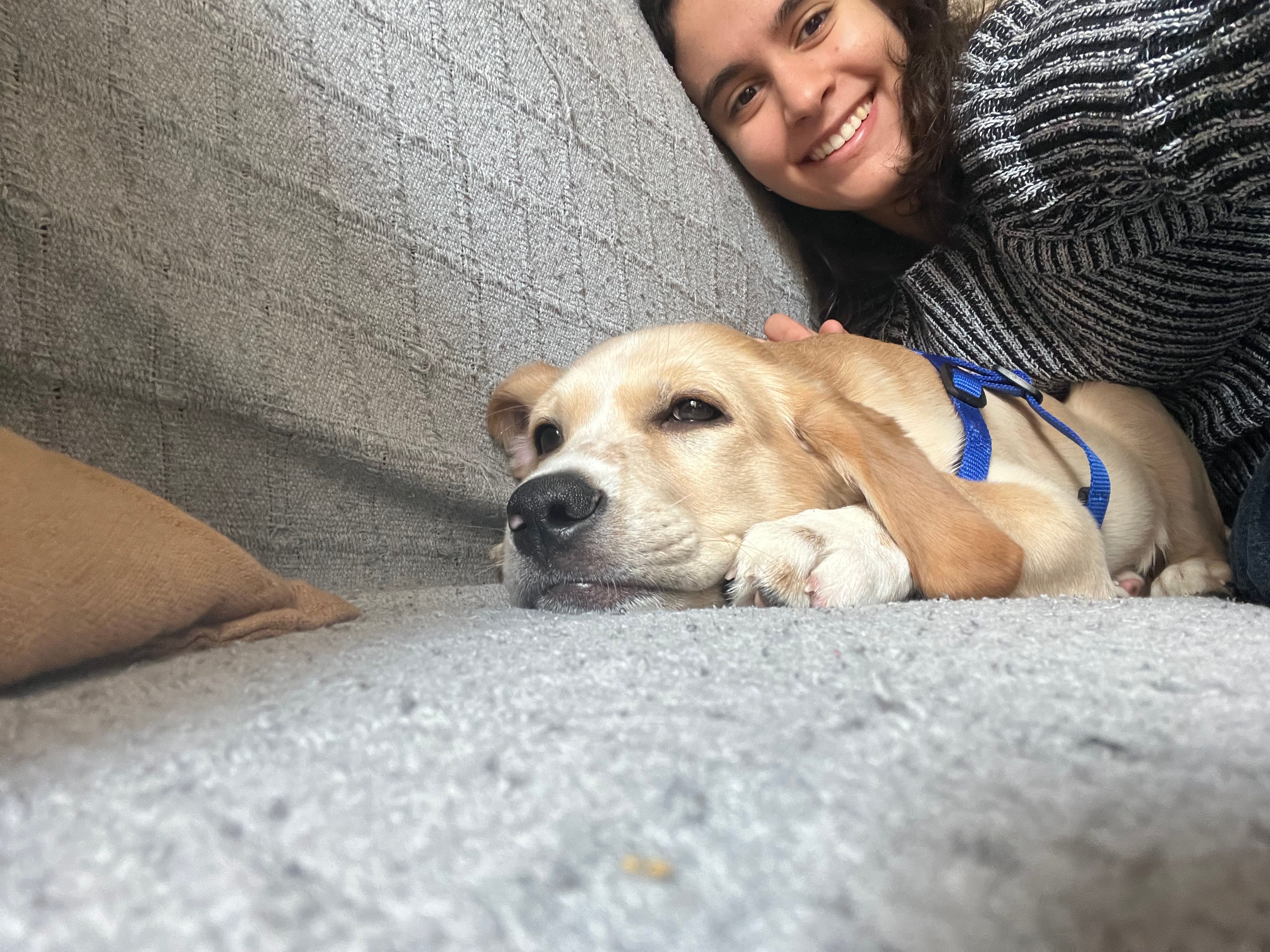 image-2