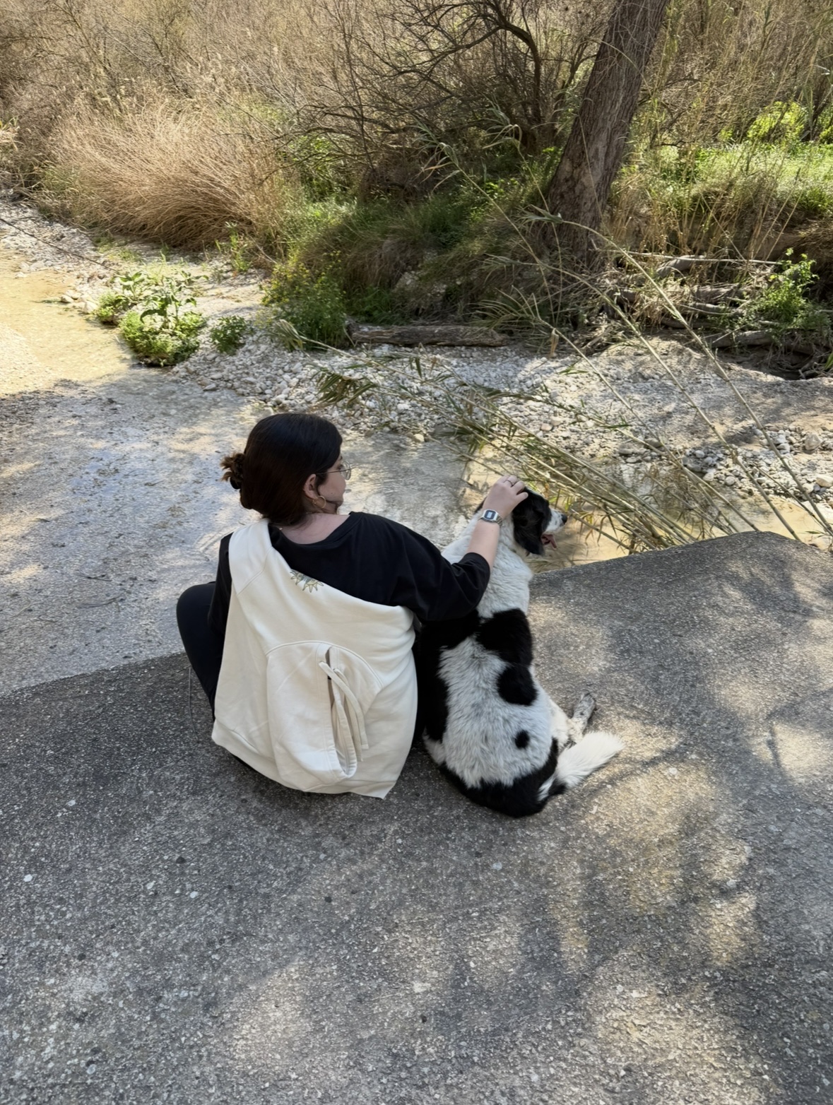 image-6