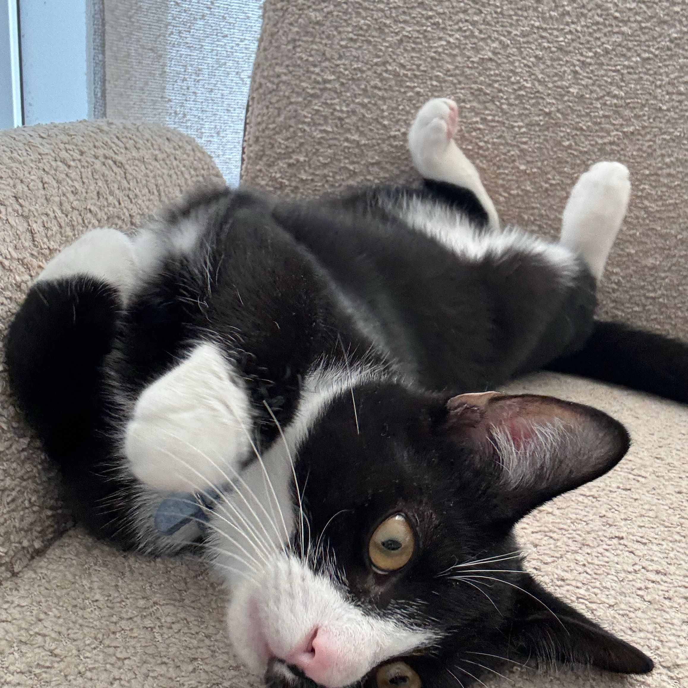 Gilberto