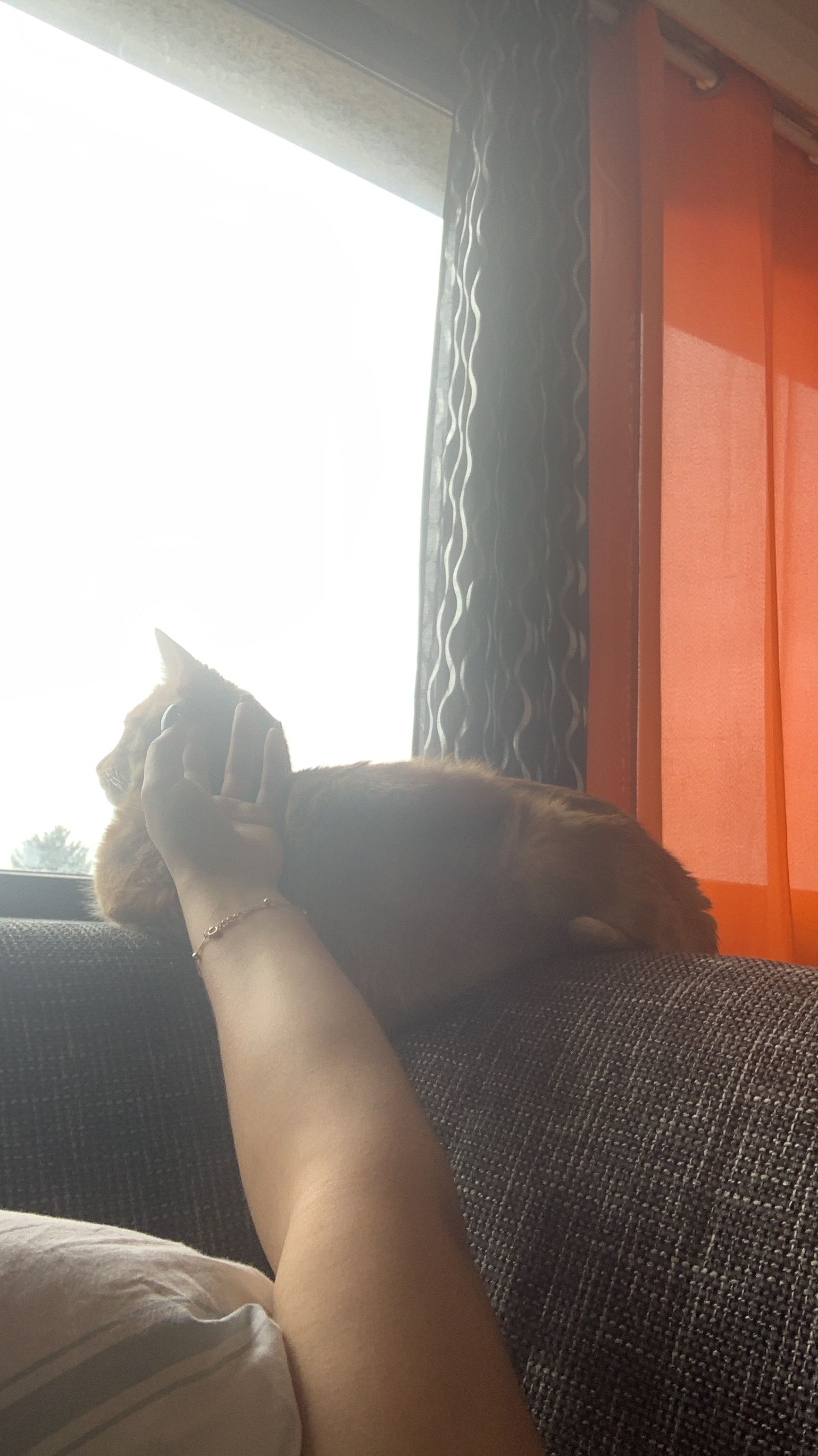 image-7