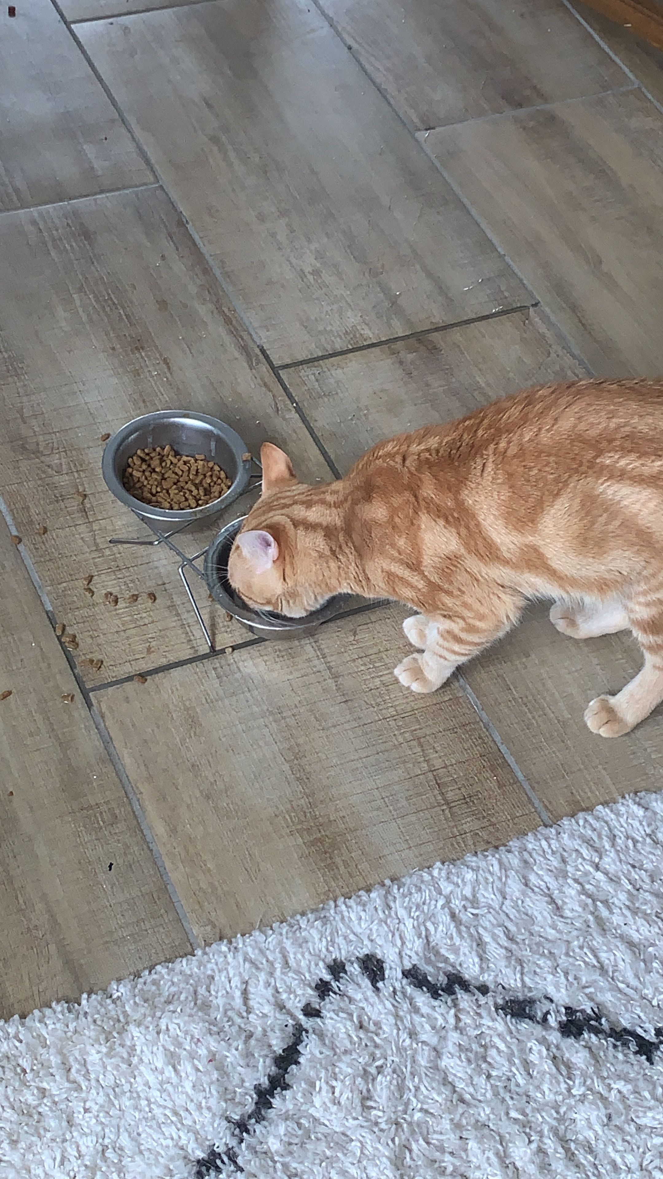 image-6