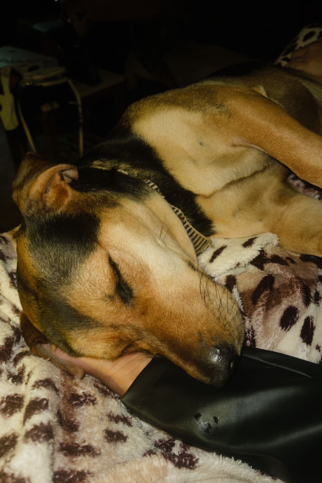image-8