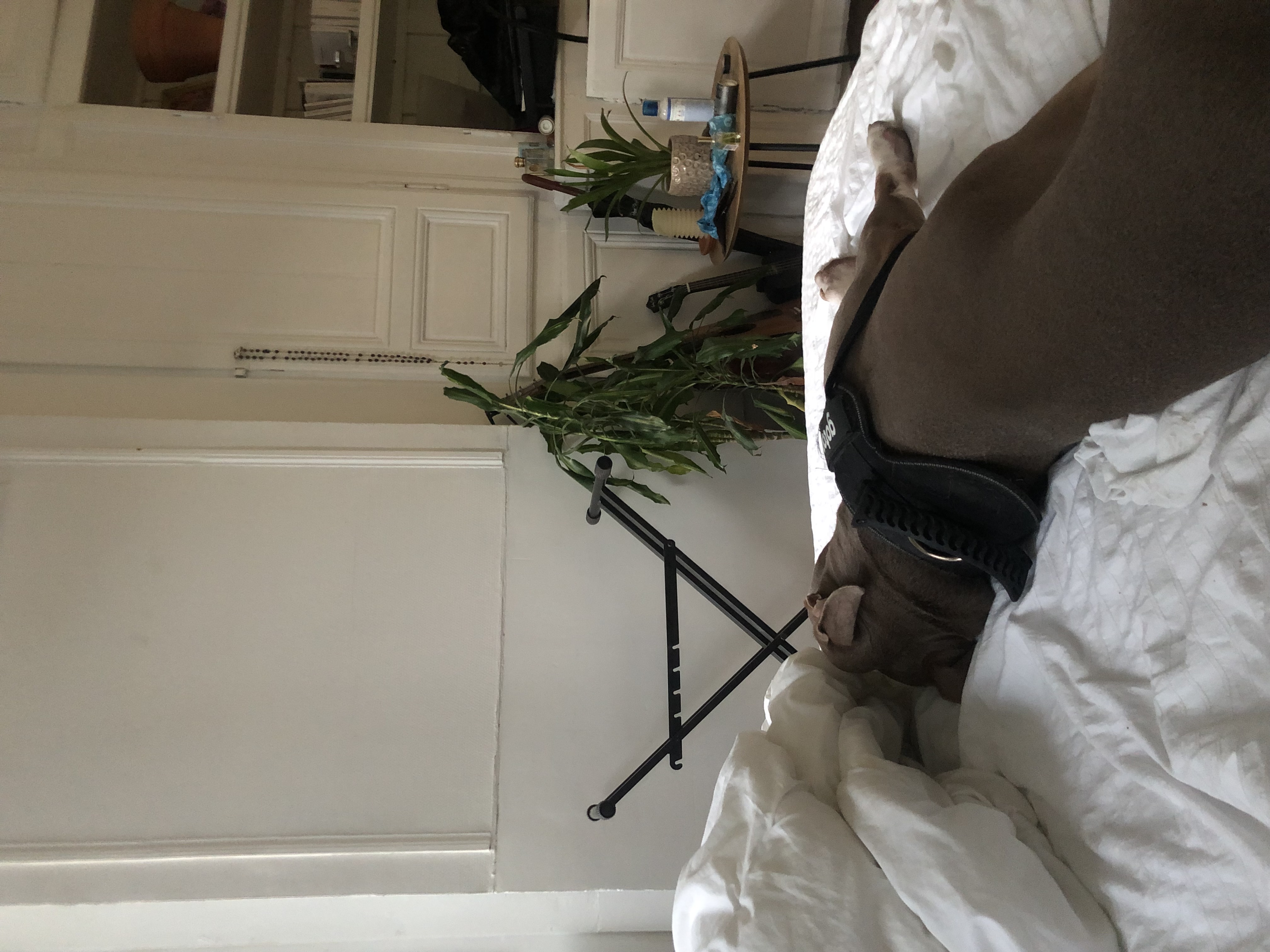 image-16