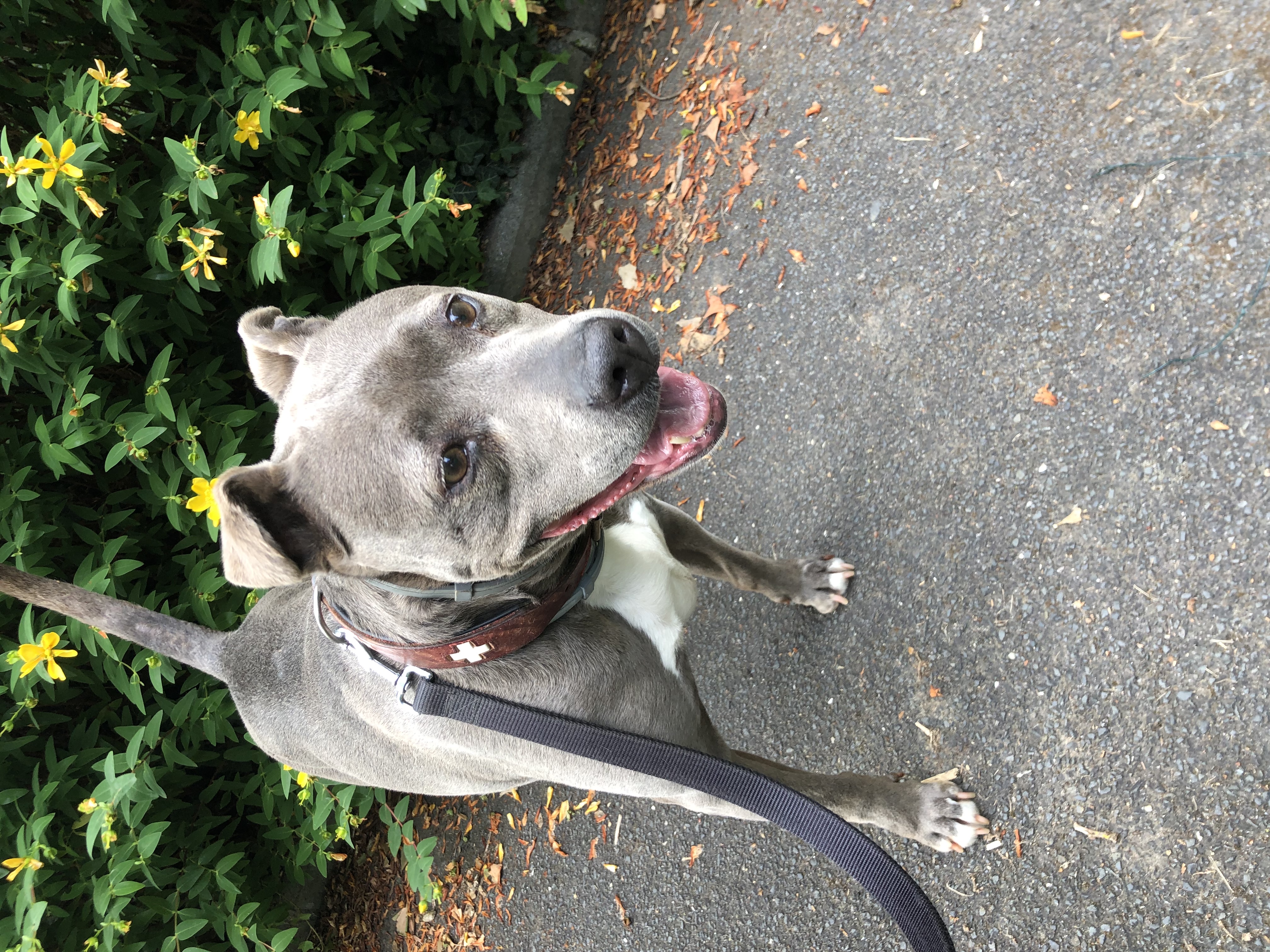 image-1