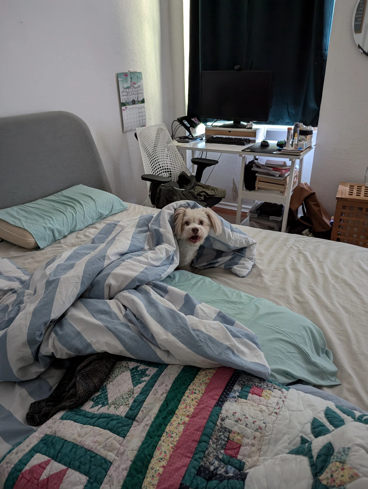 image-8