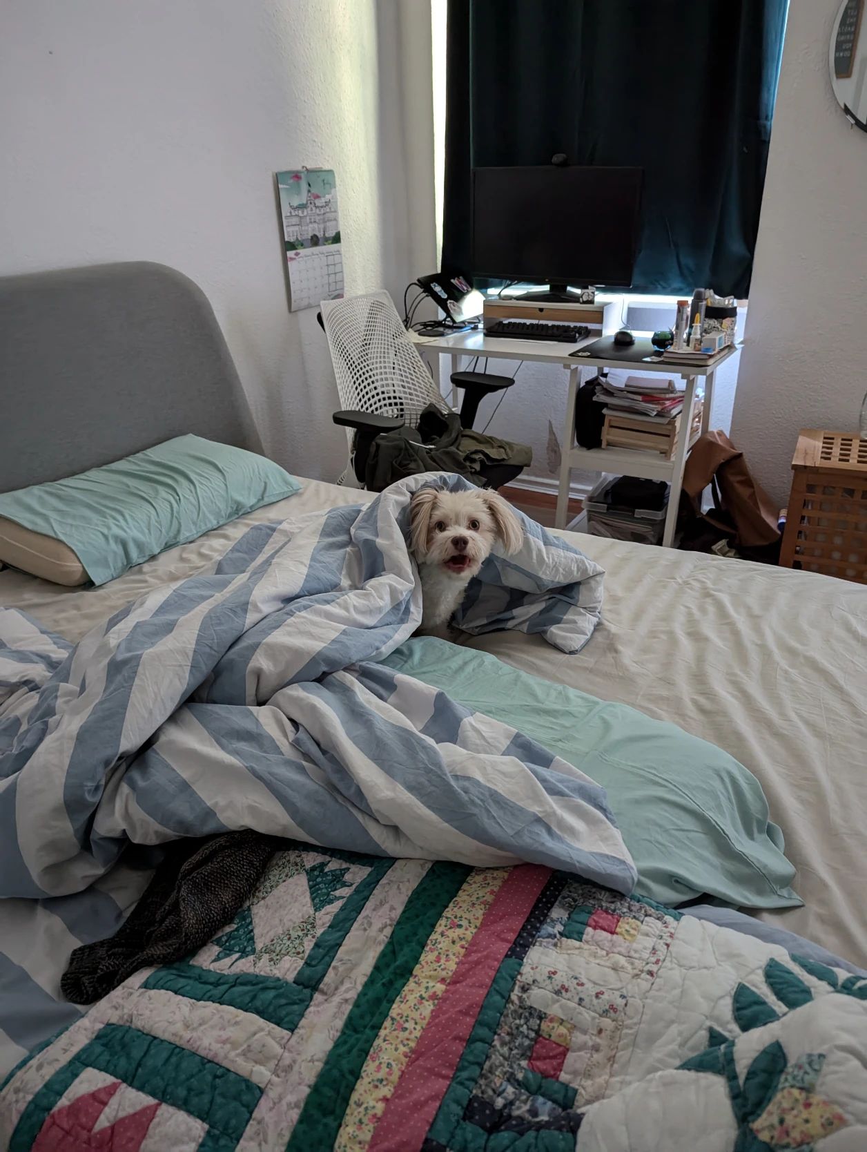 image-8