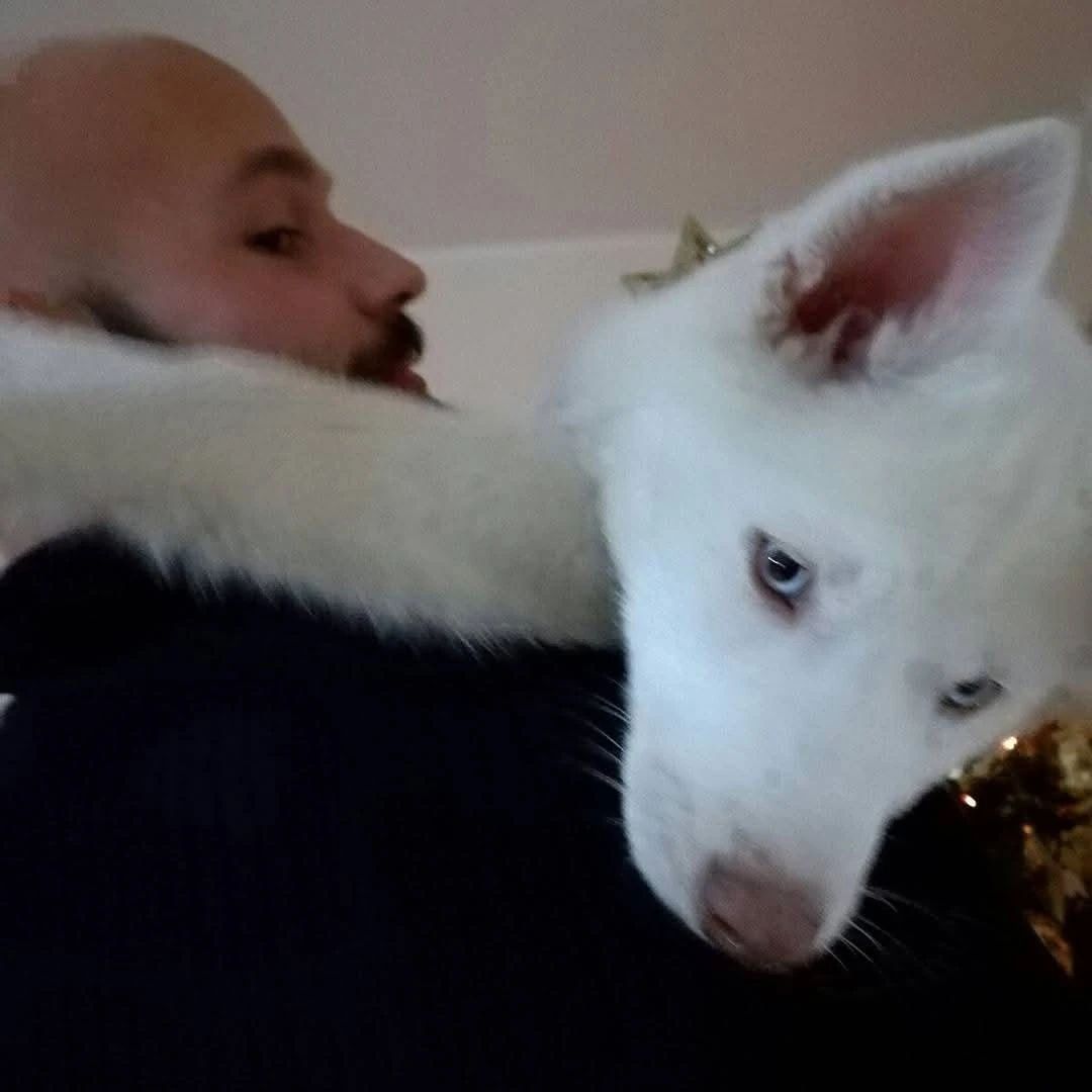 image-8