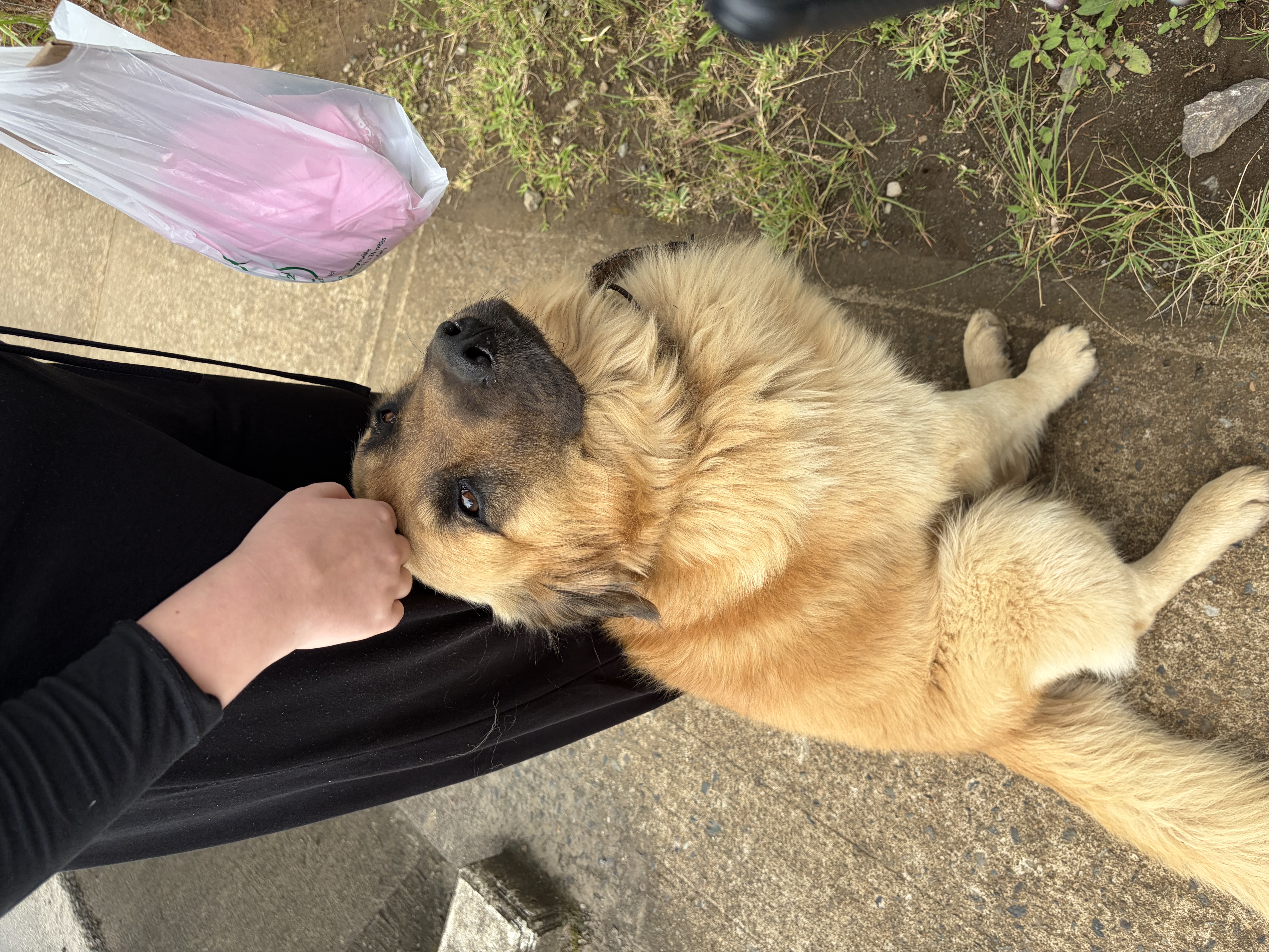 image-6