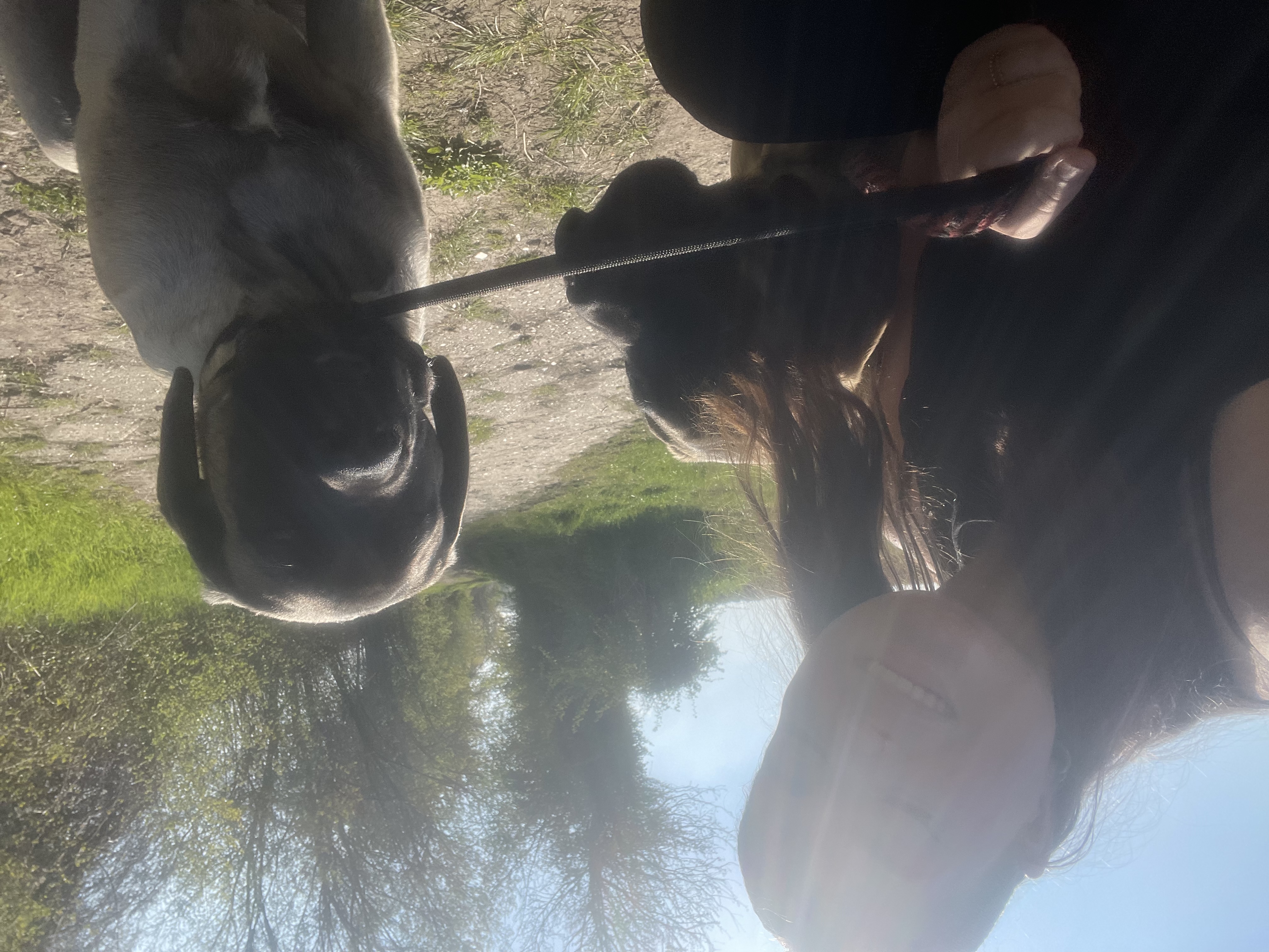 image-0