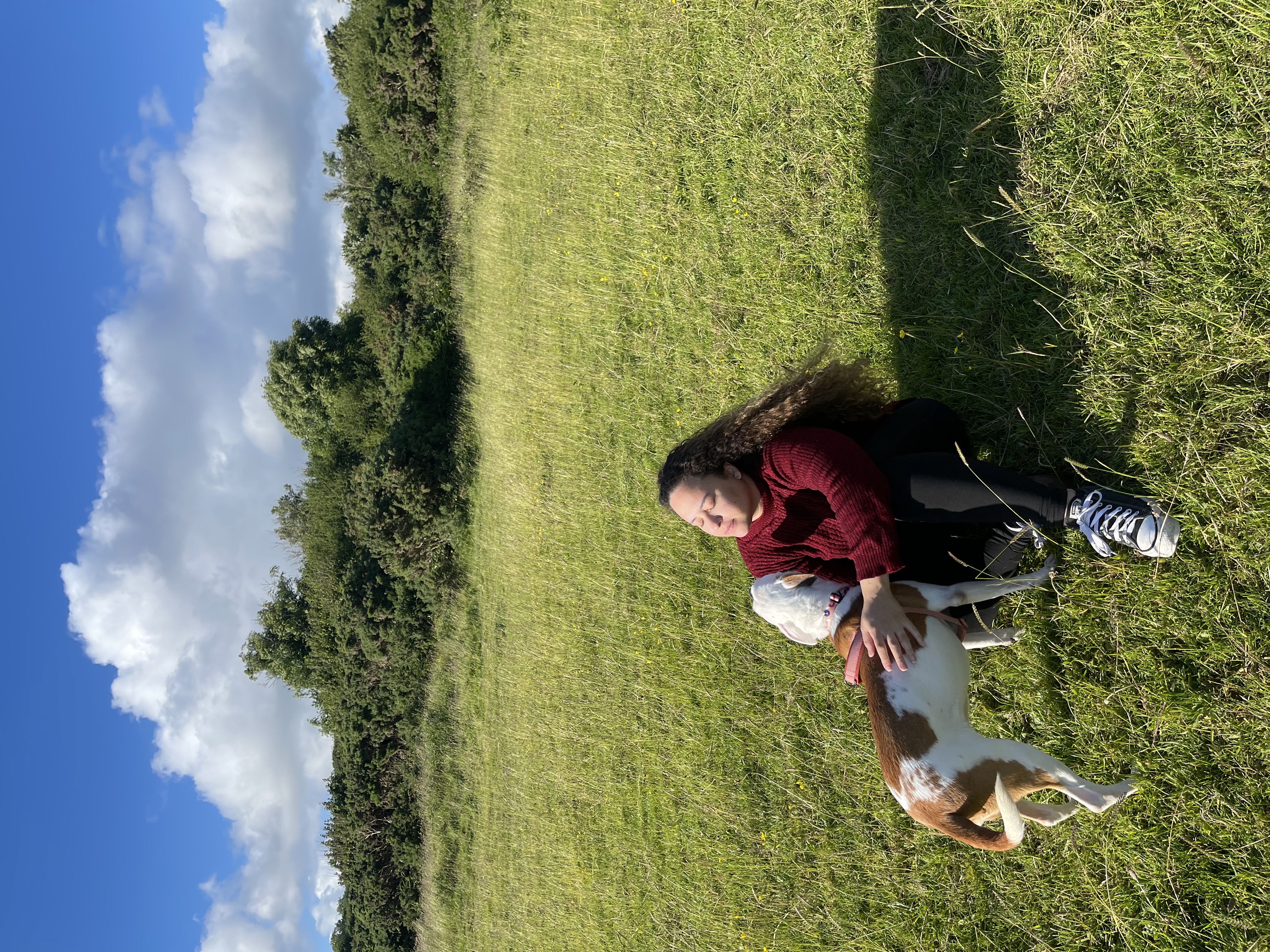 image-2