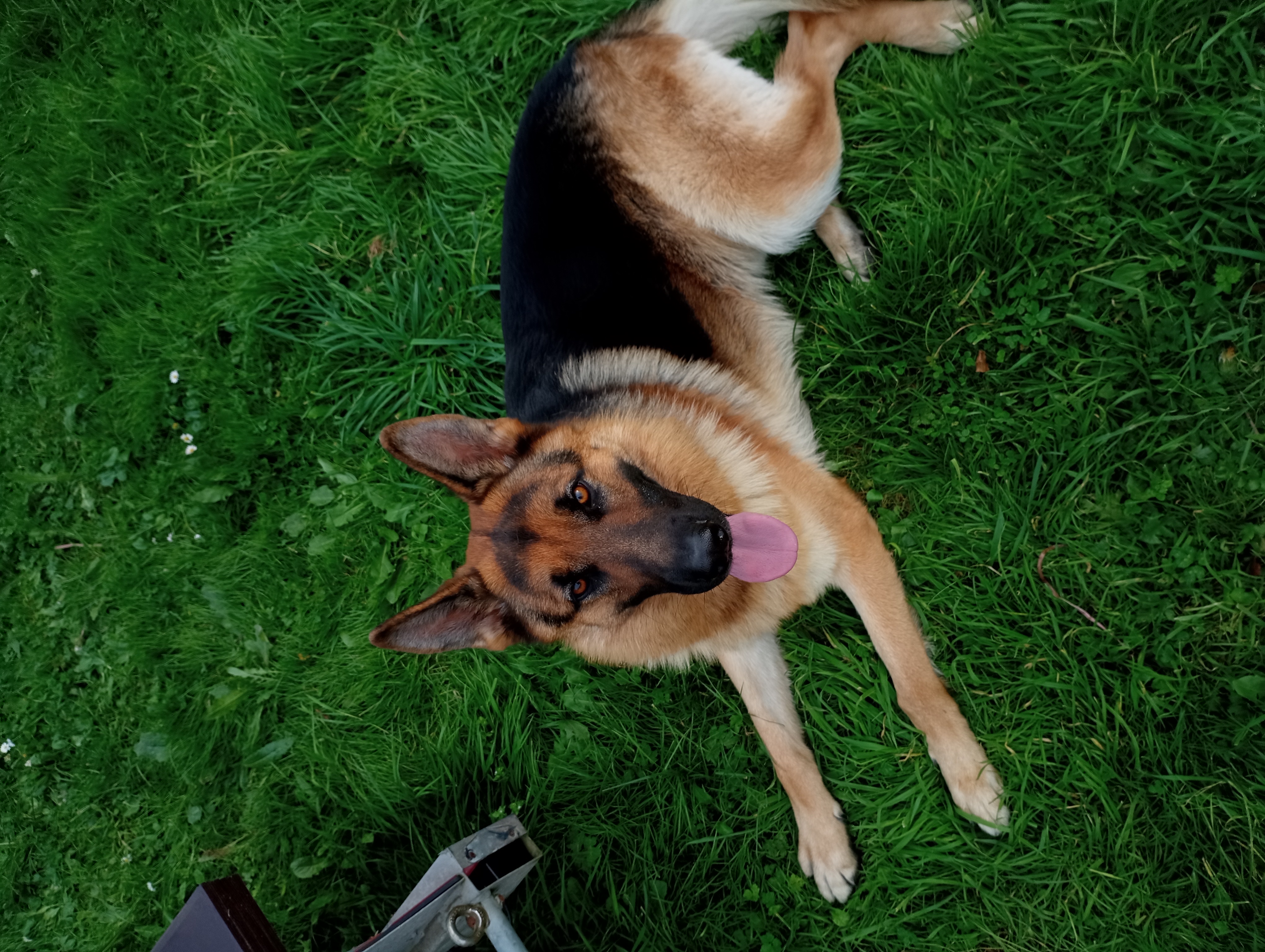 image-7