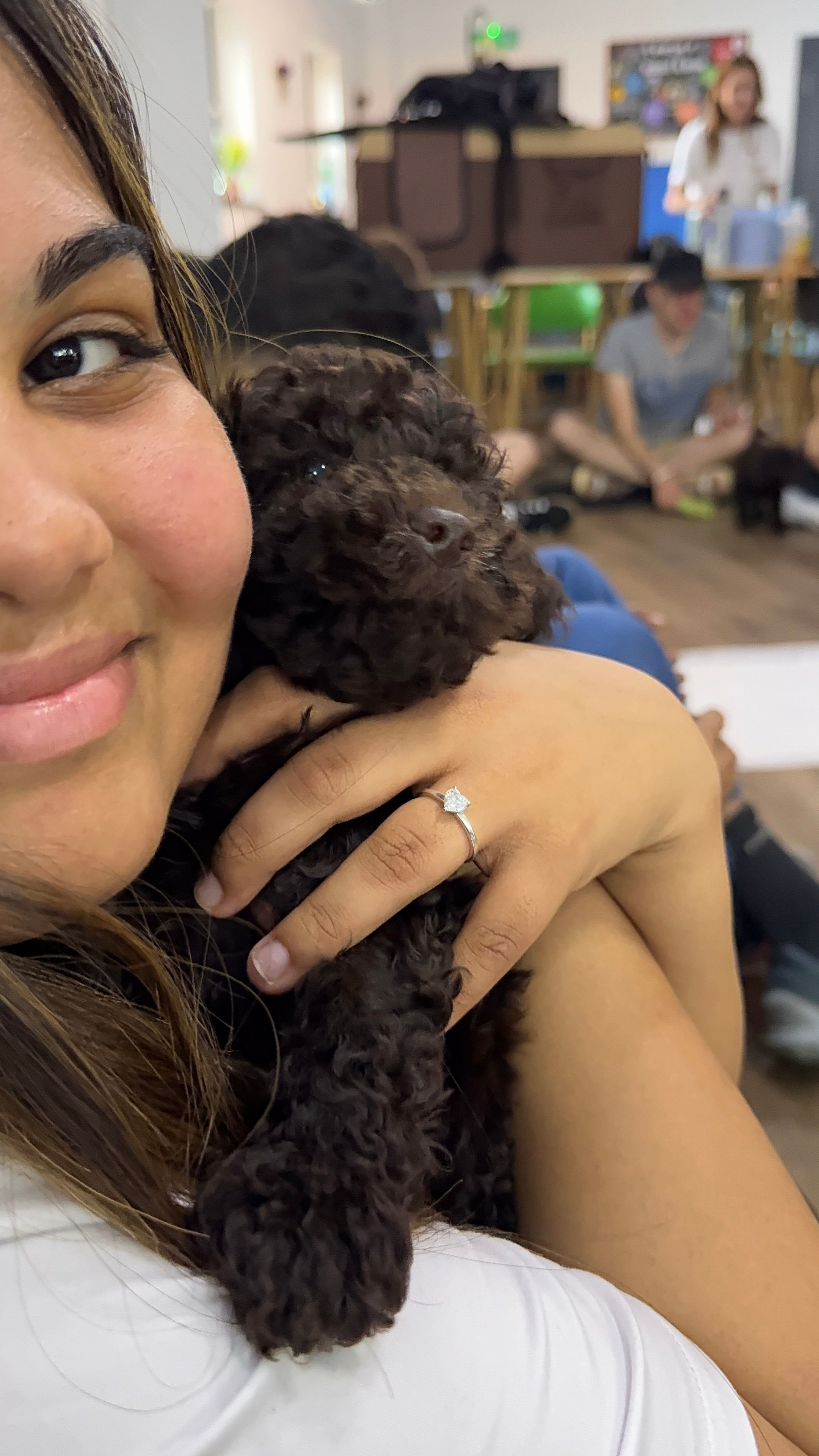 image-7