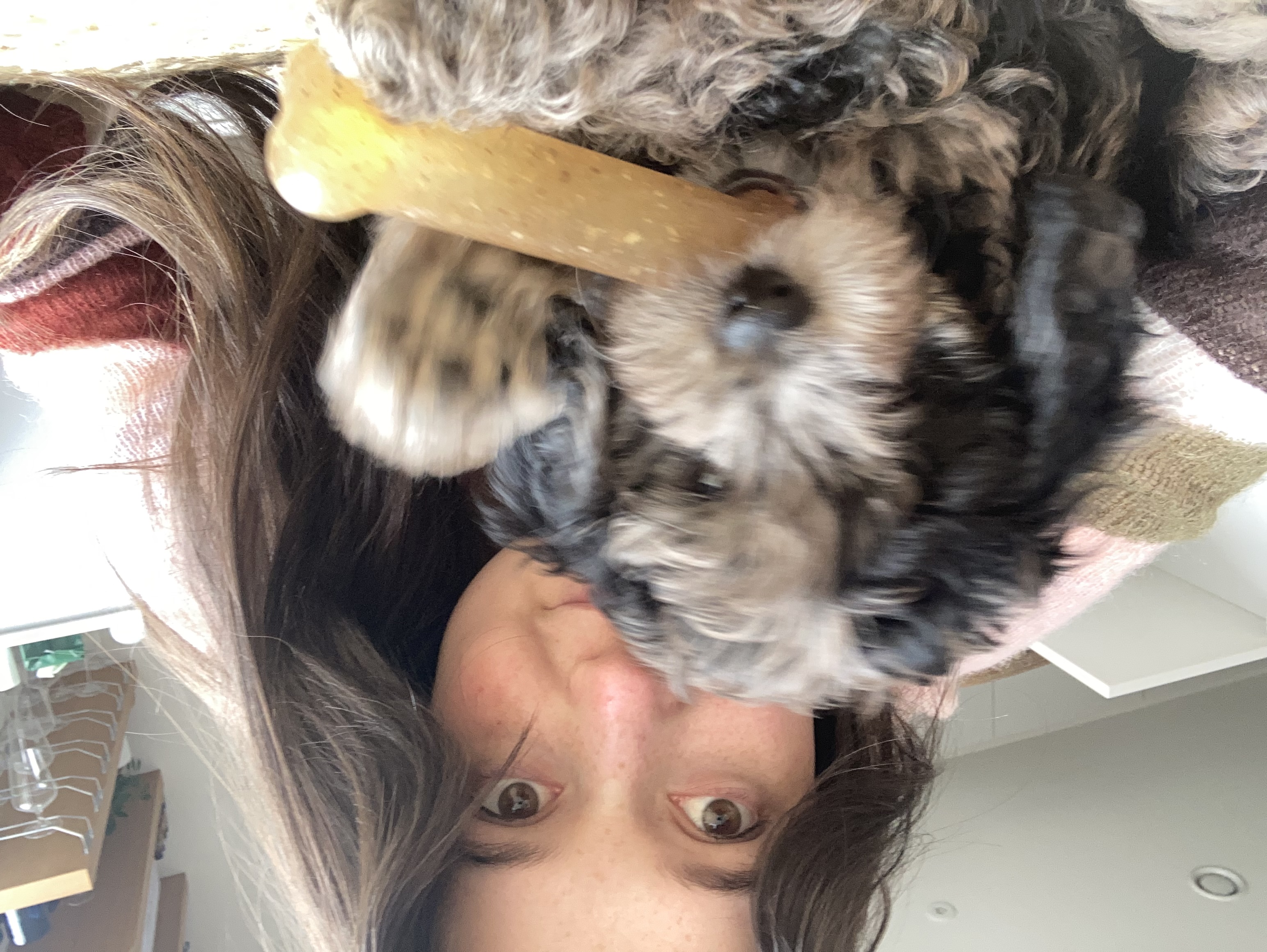 image-4