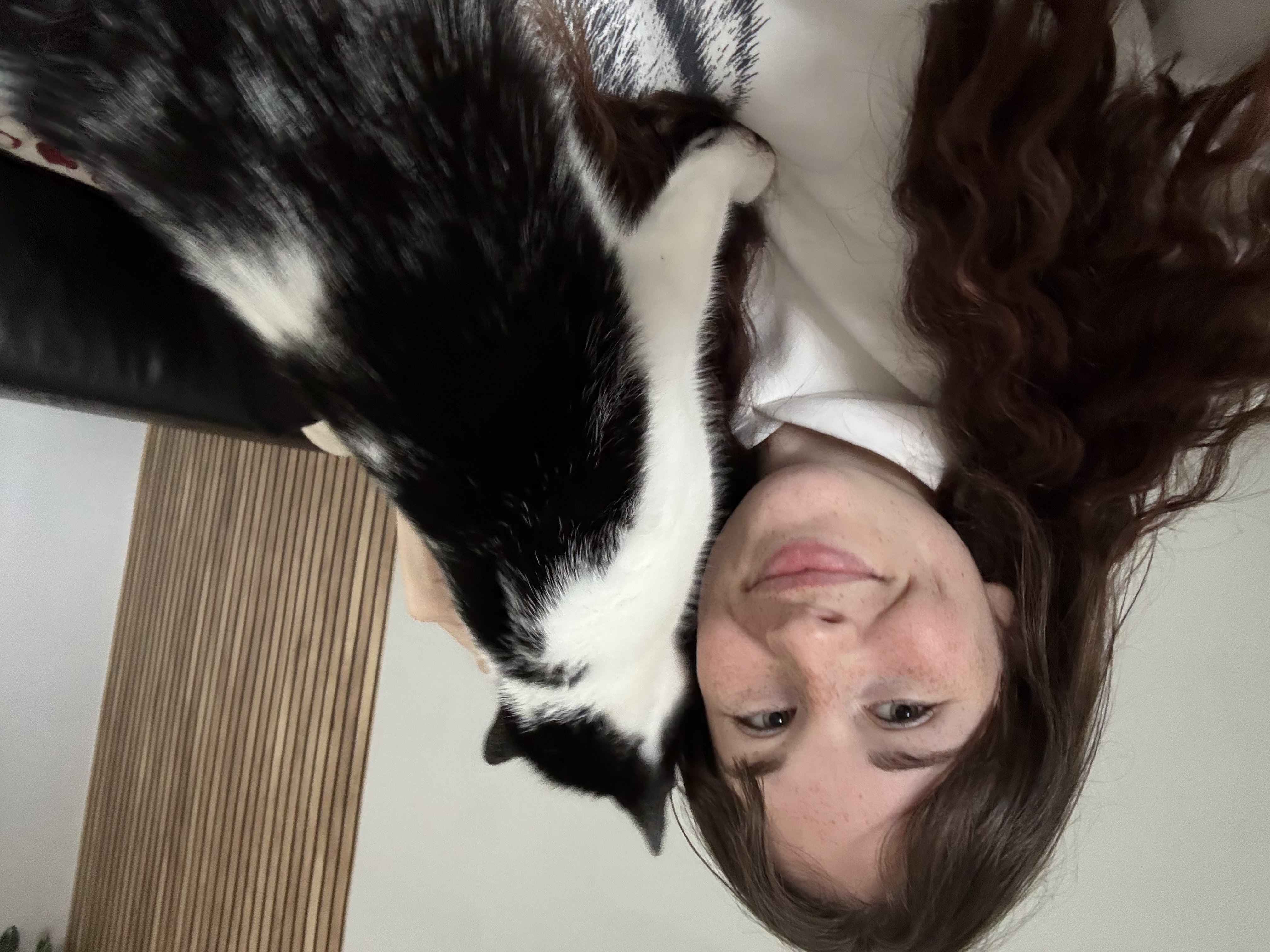 image-4