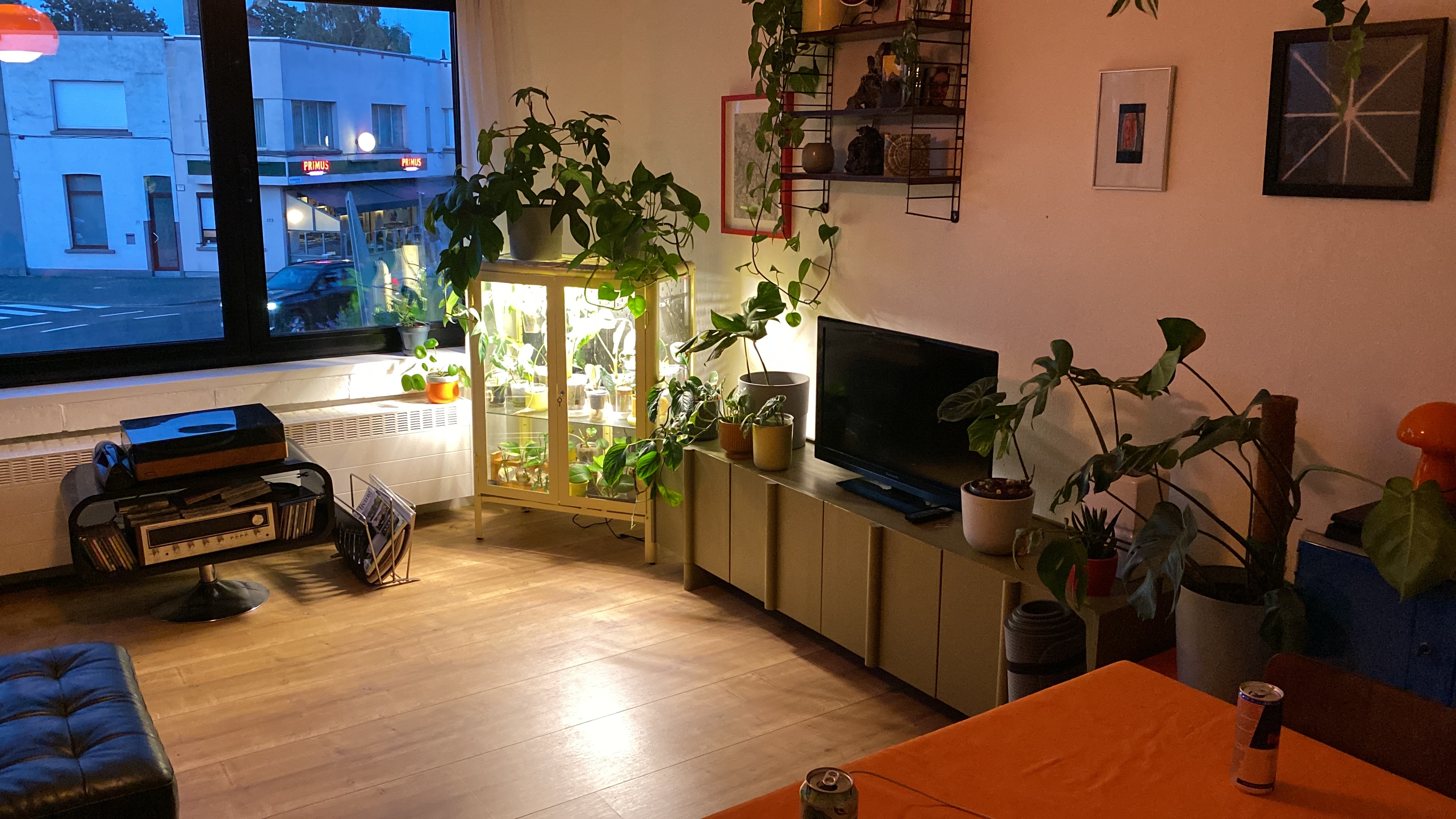 image-7
