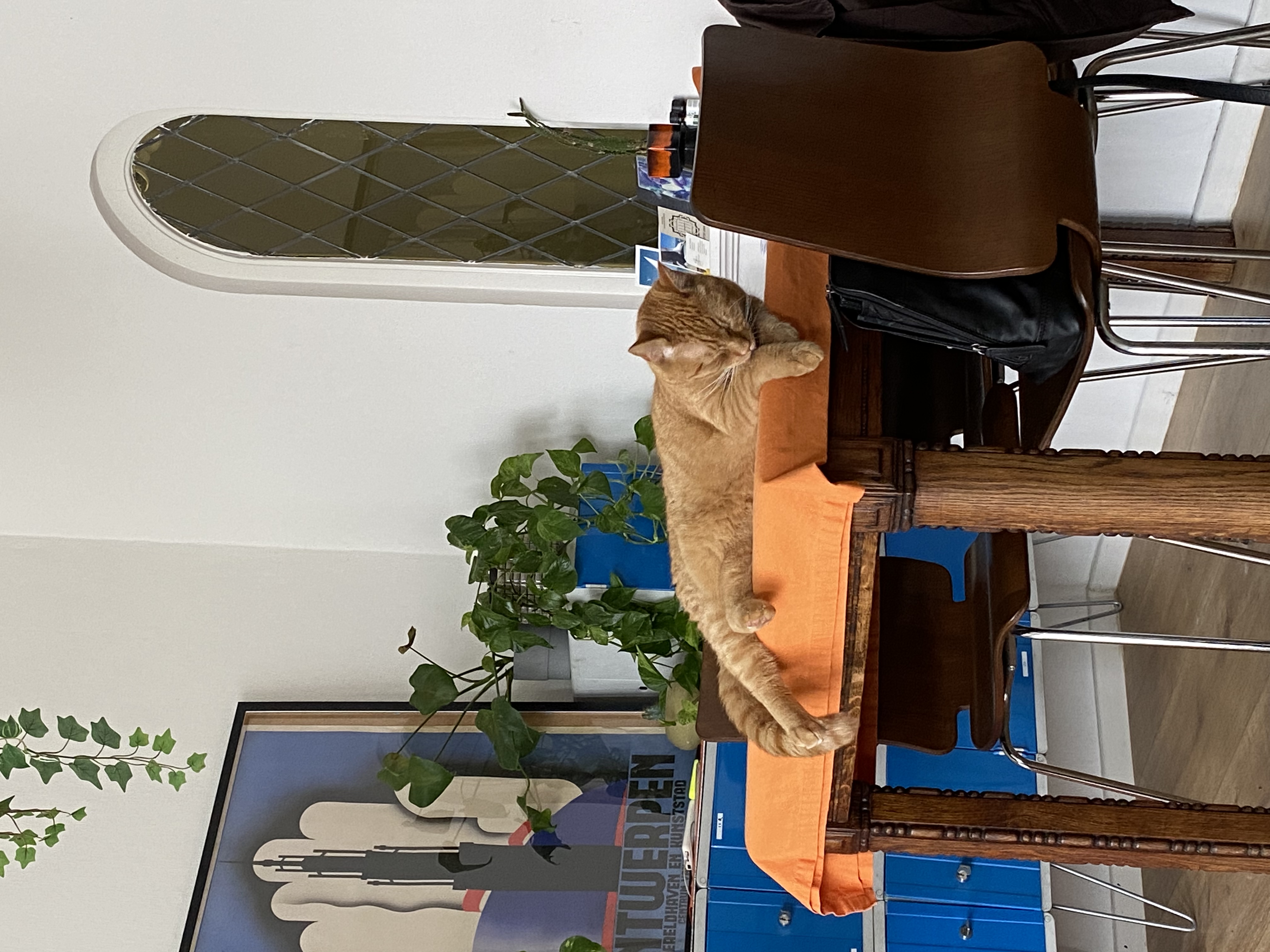 image-6