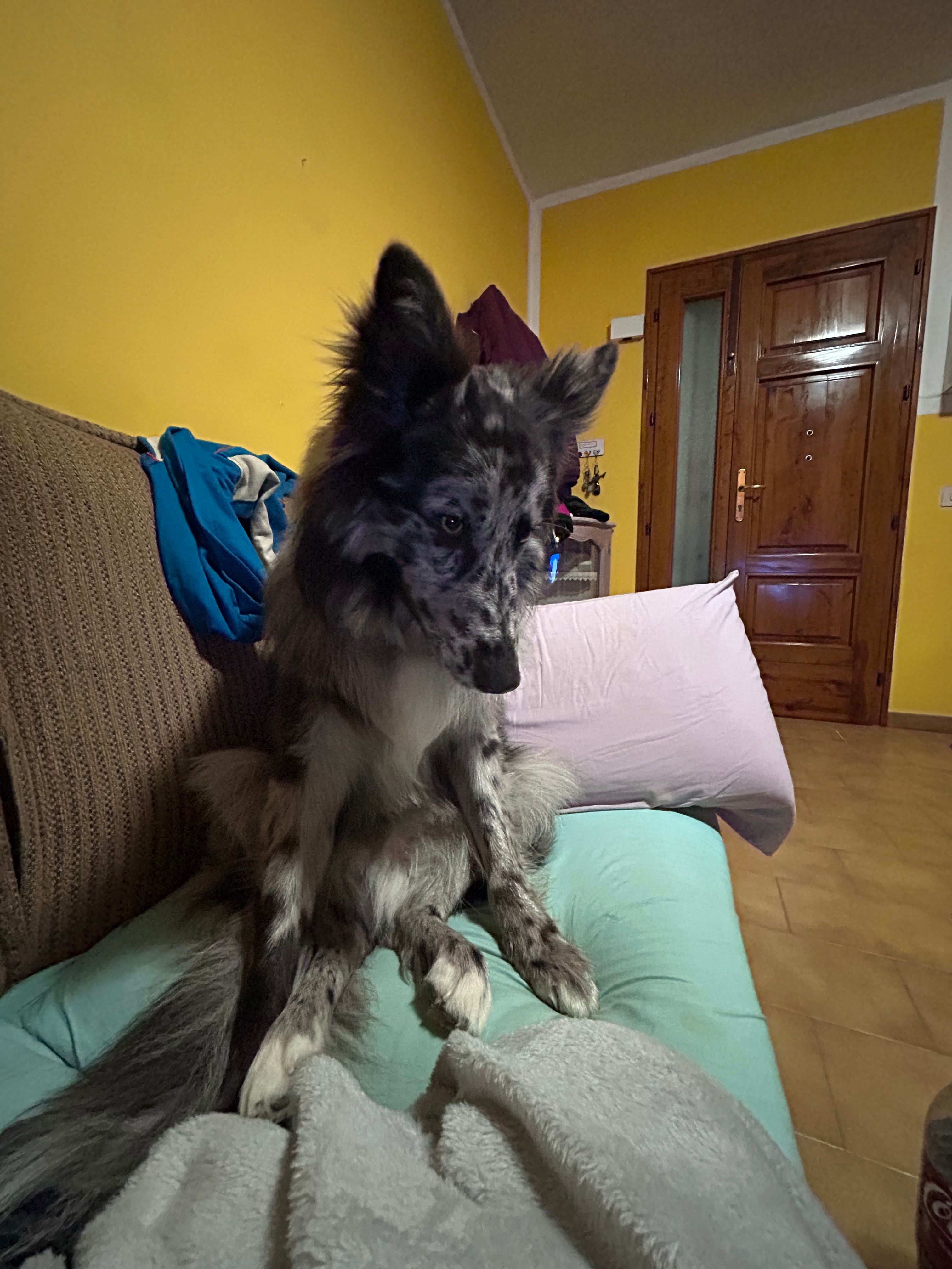 image-6