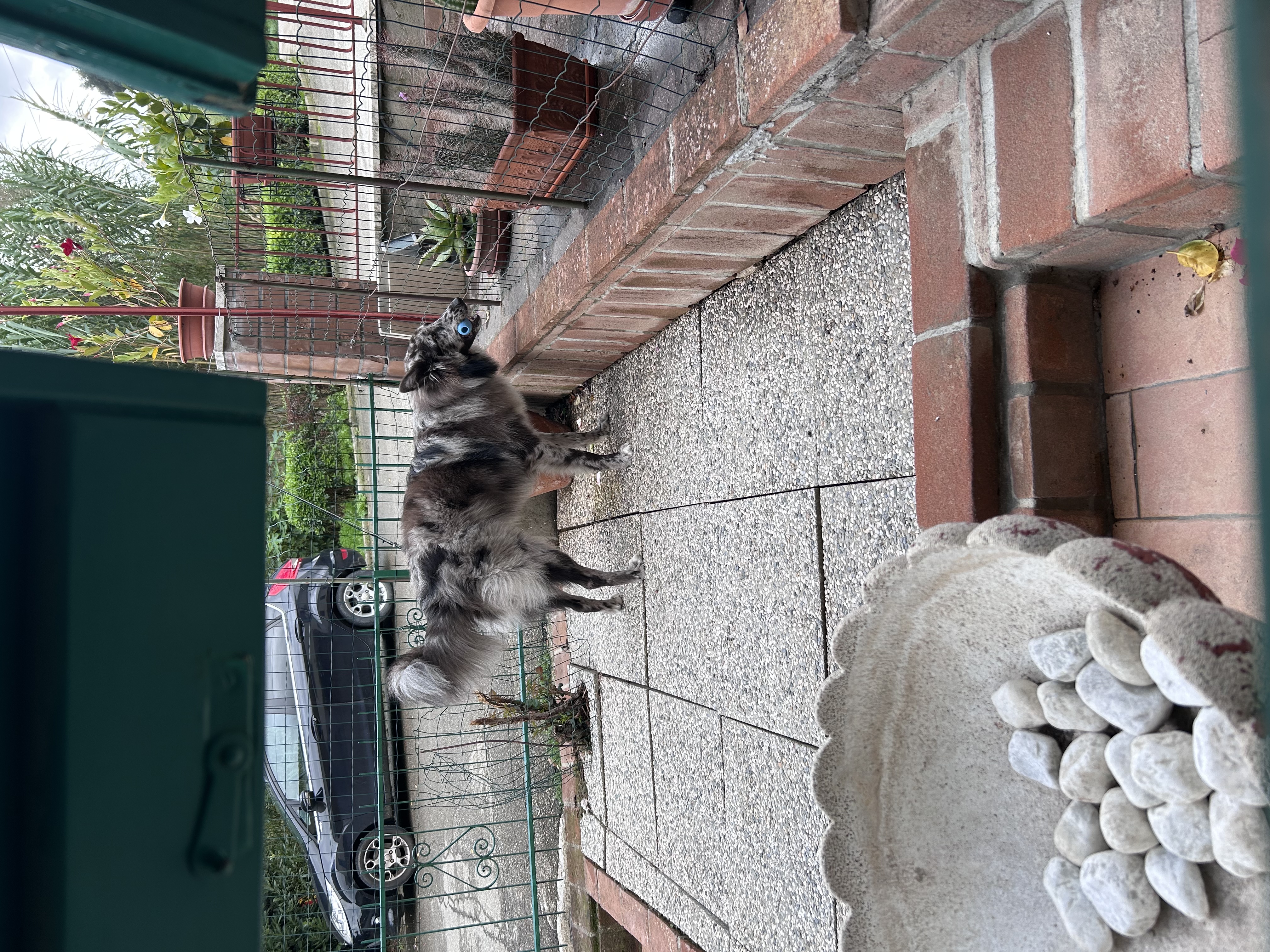 image-7