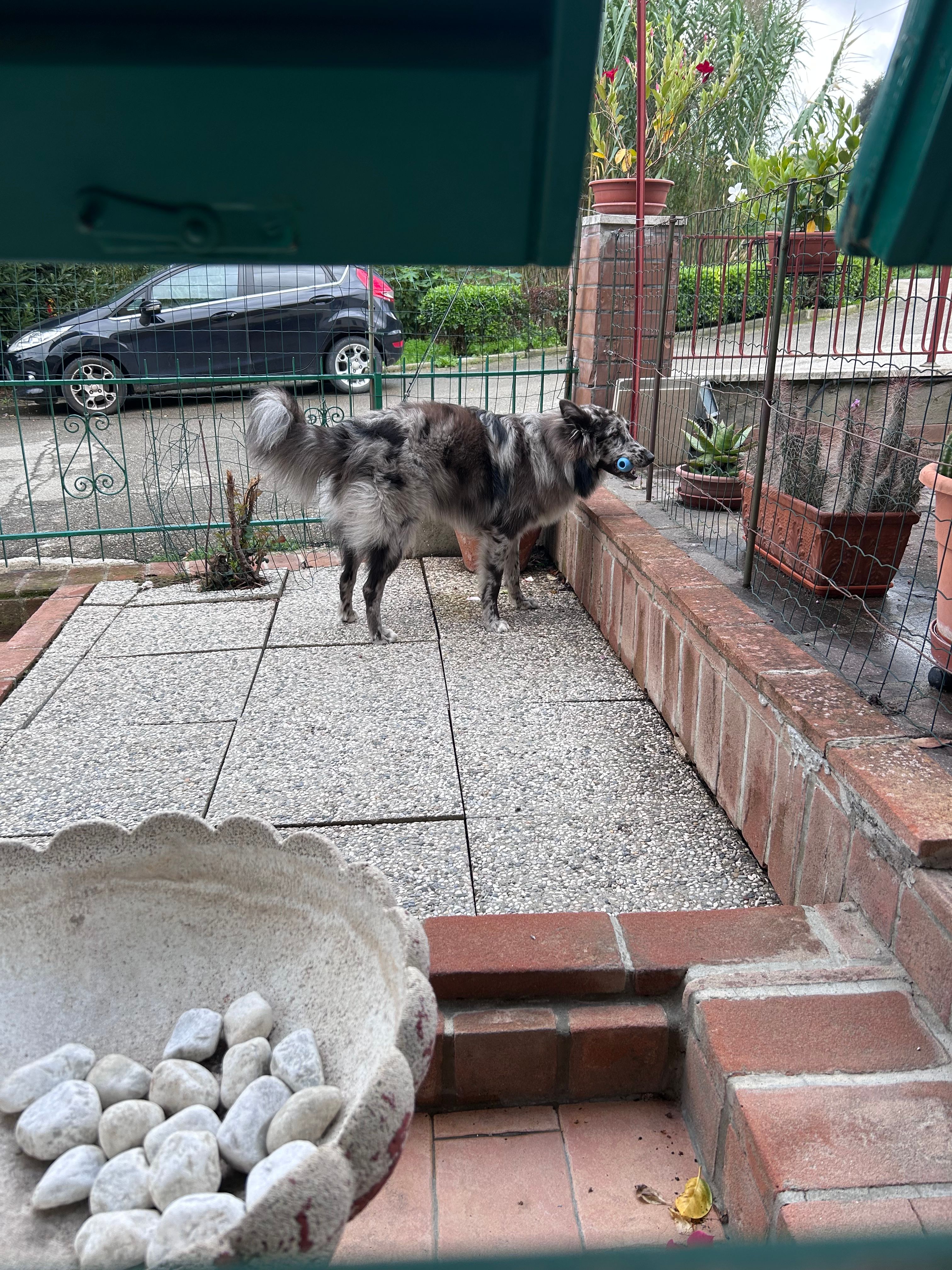 image-7