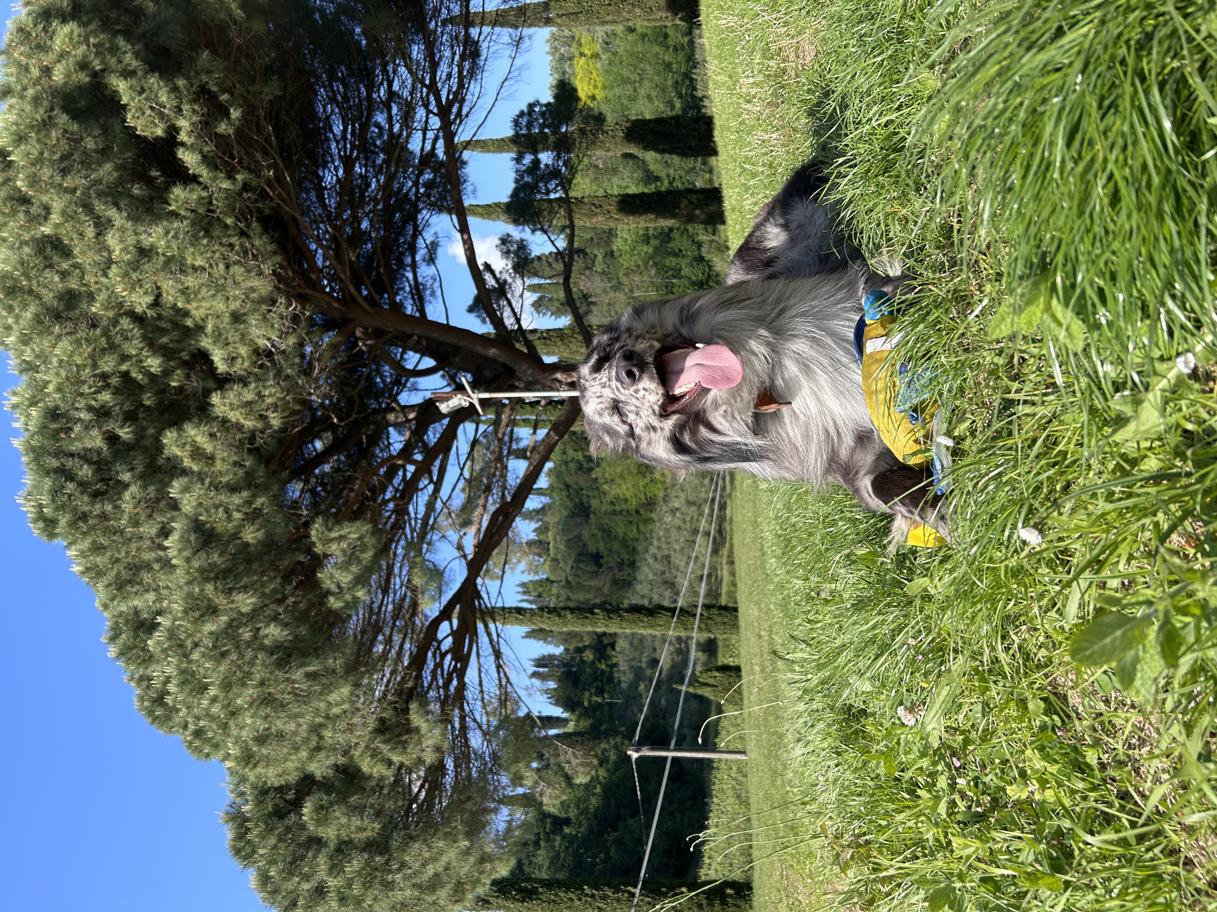 image-5