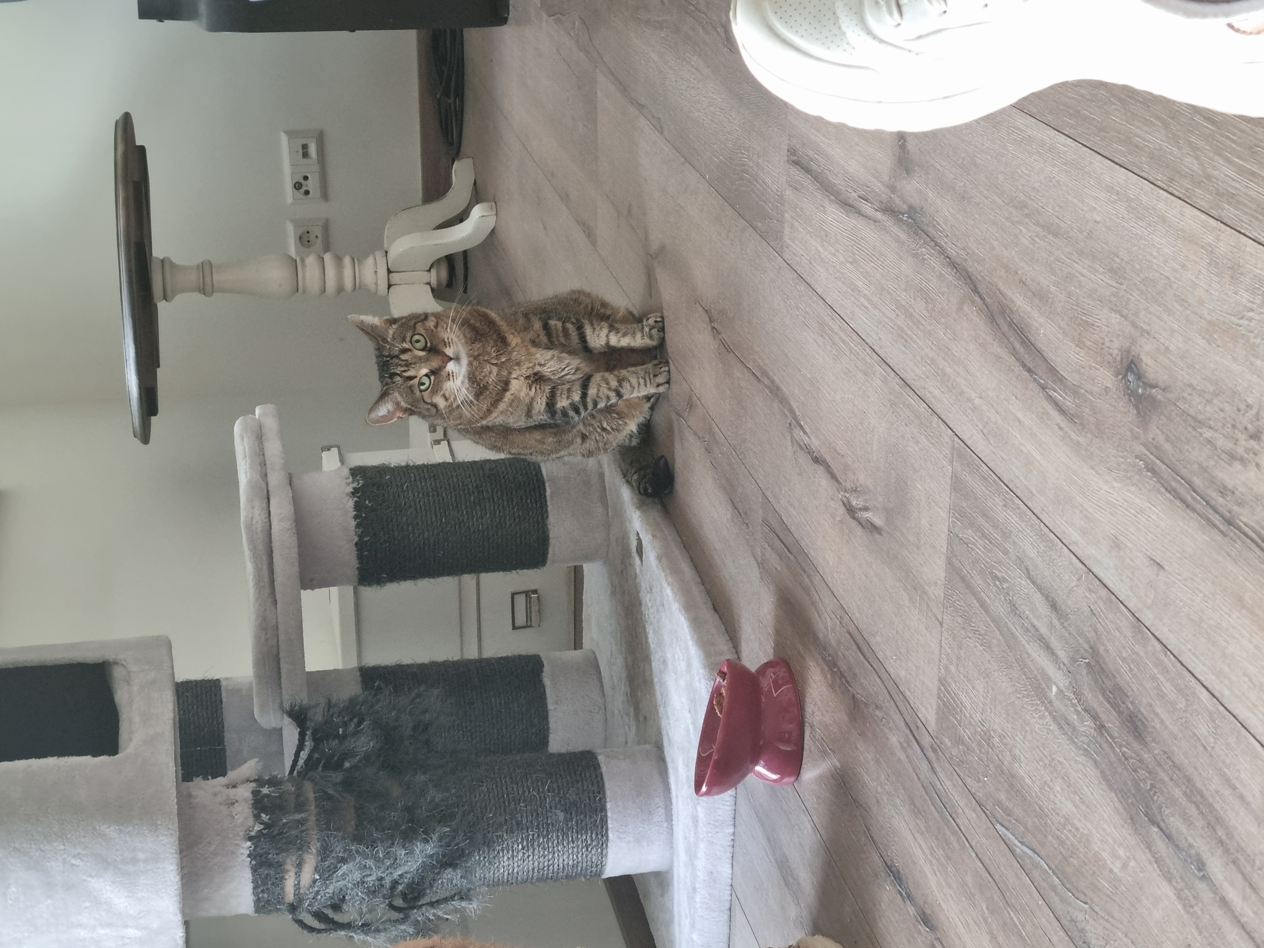image-5