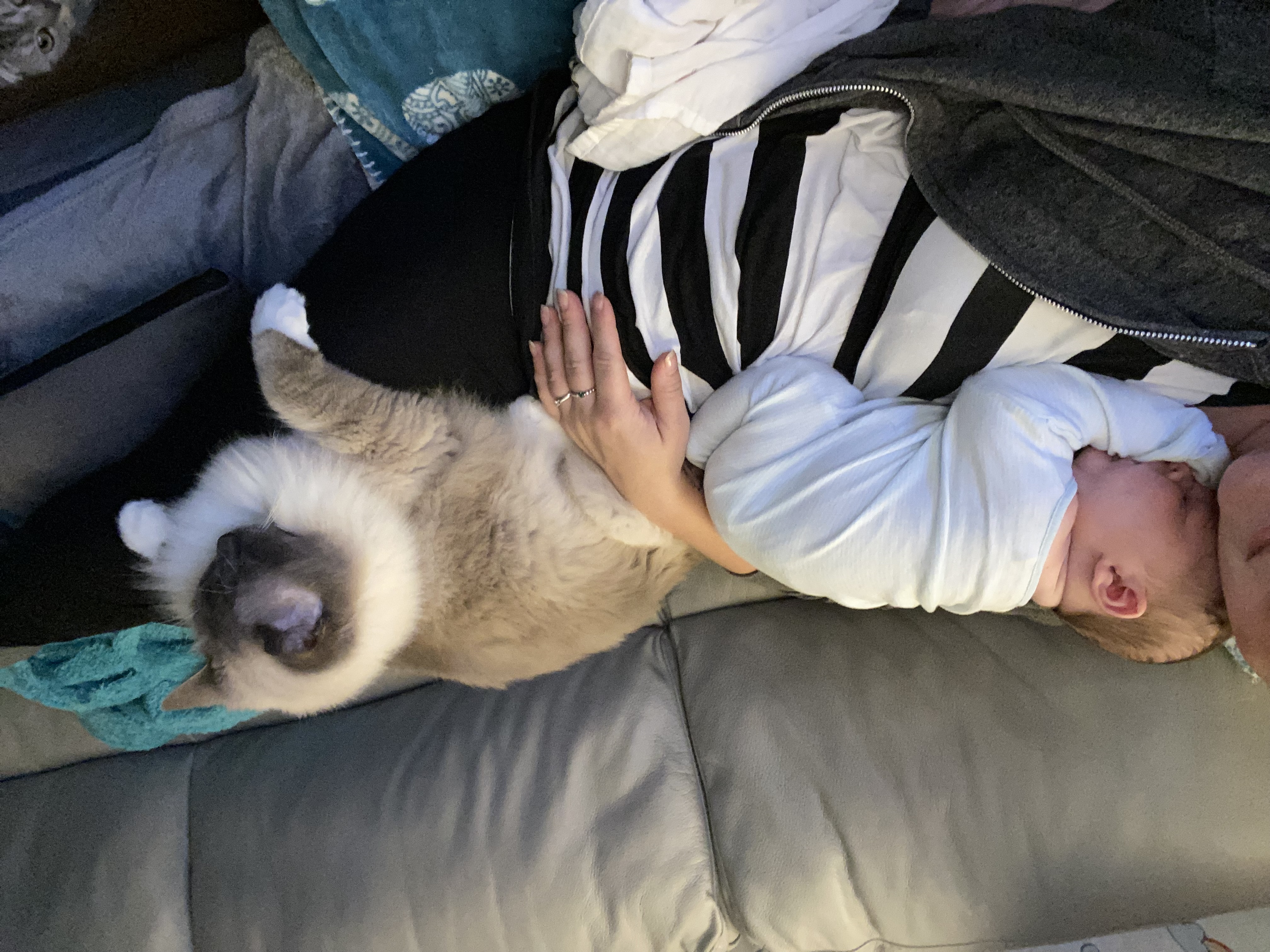 image-6