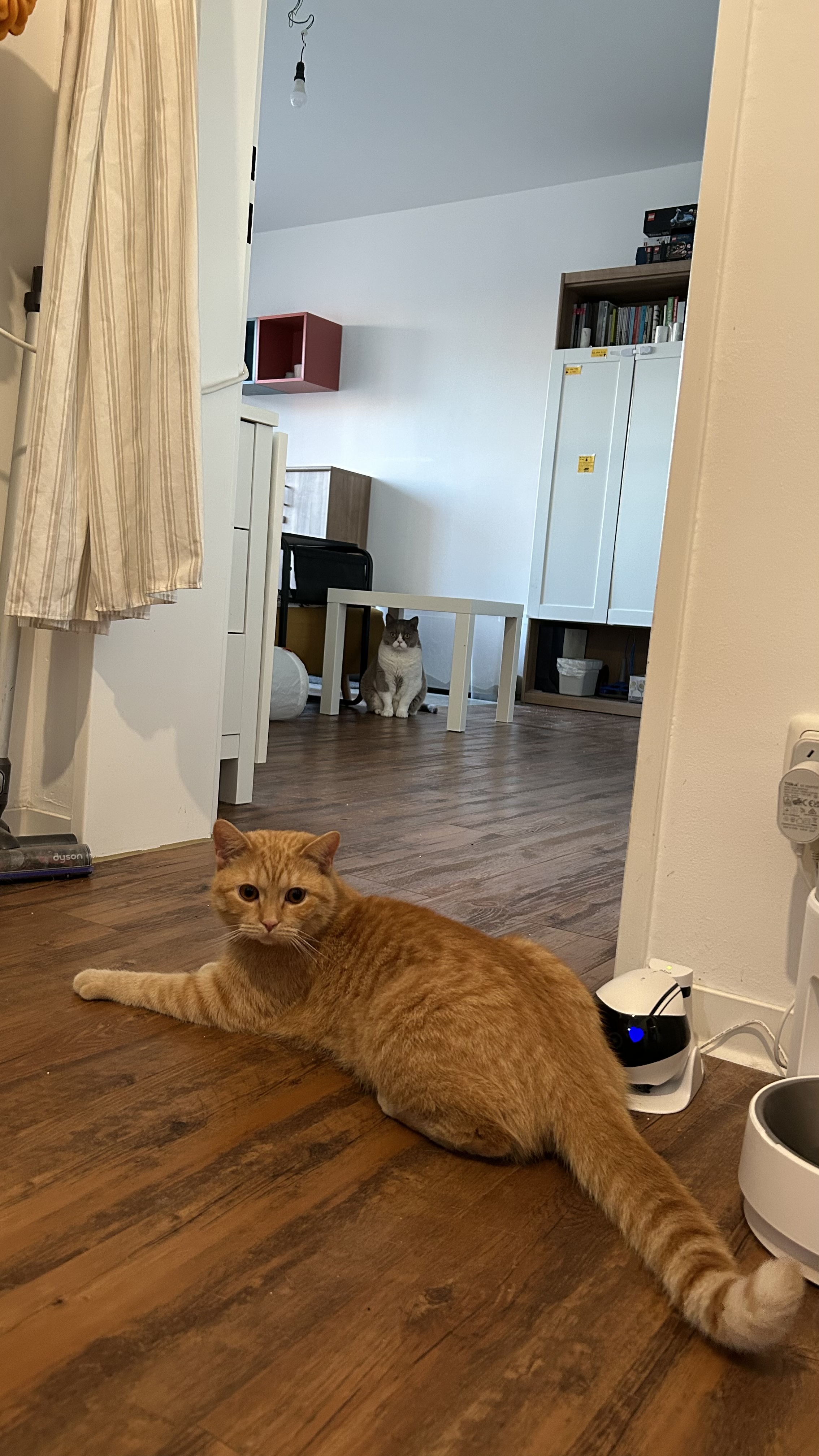 image-19