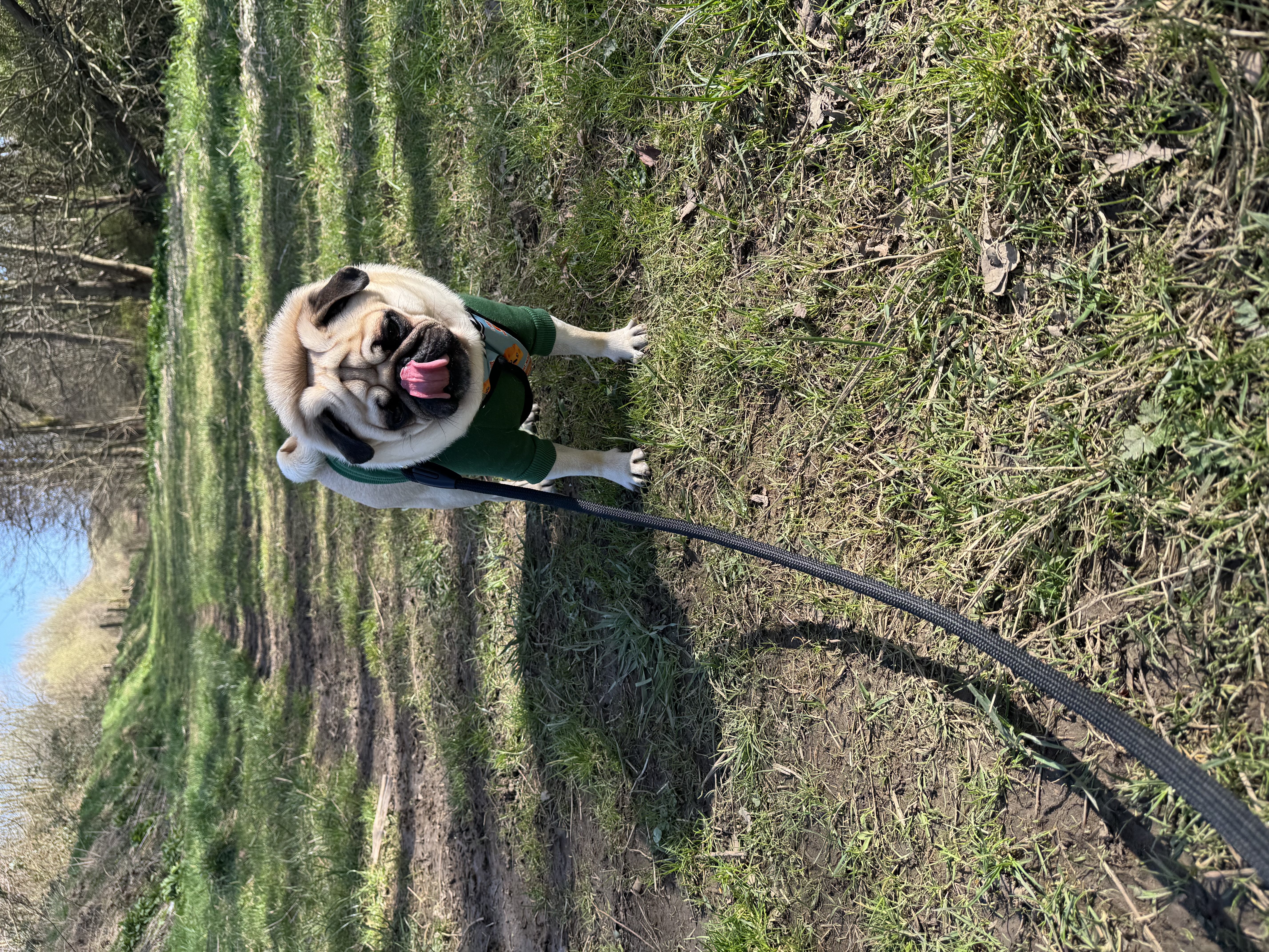 image-7