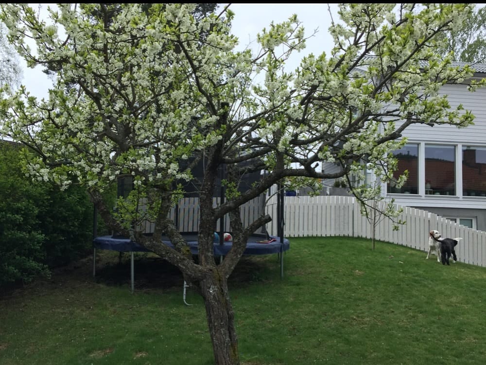 image-2