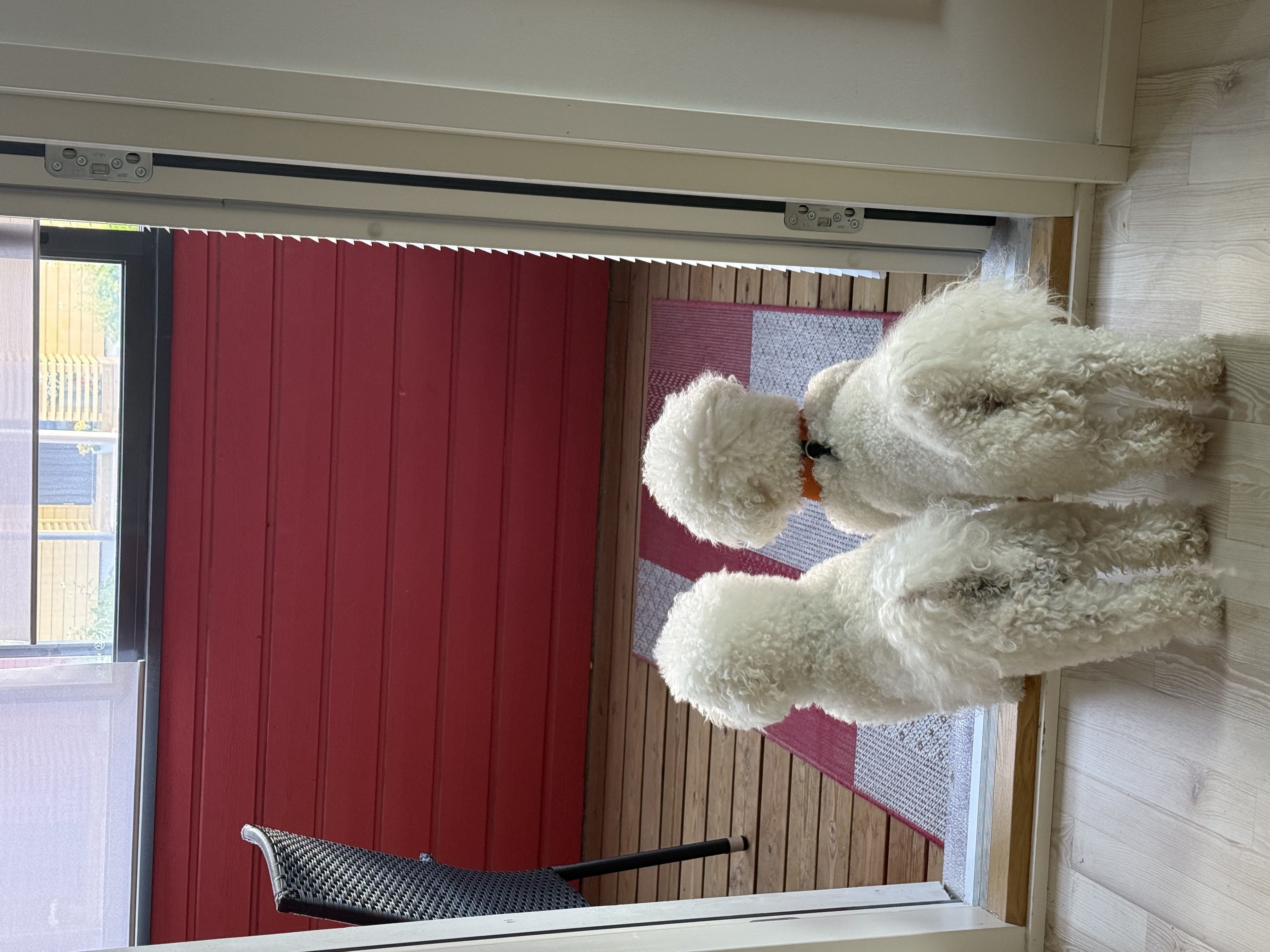 image-17