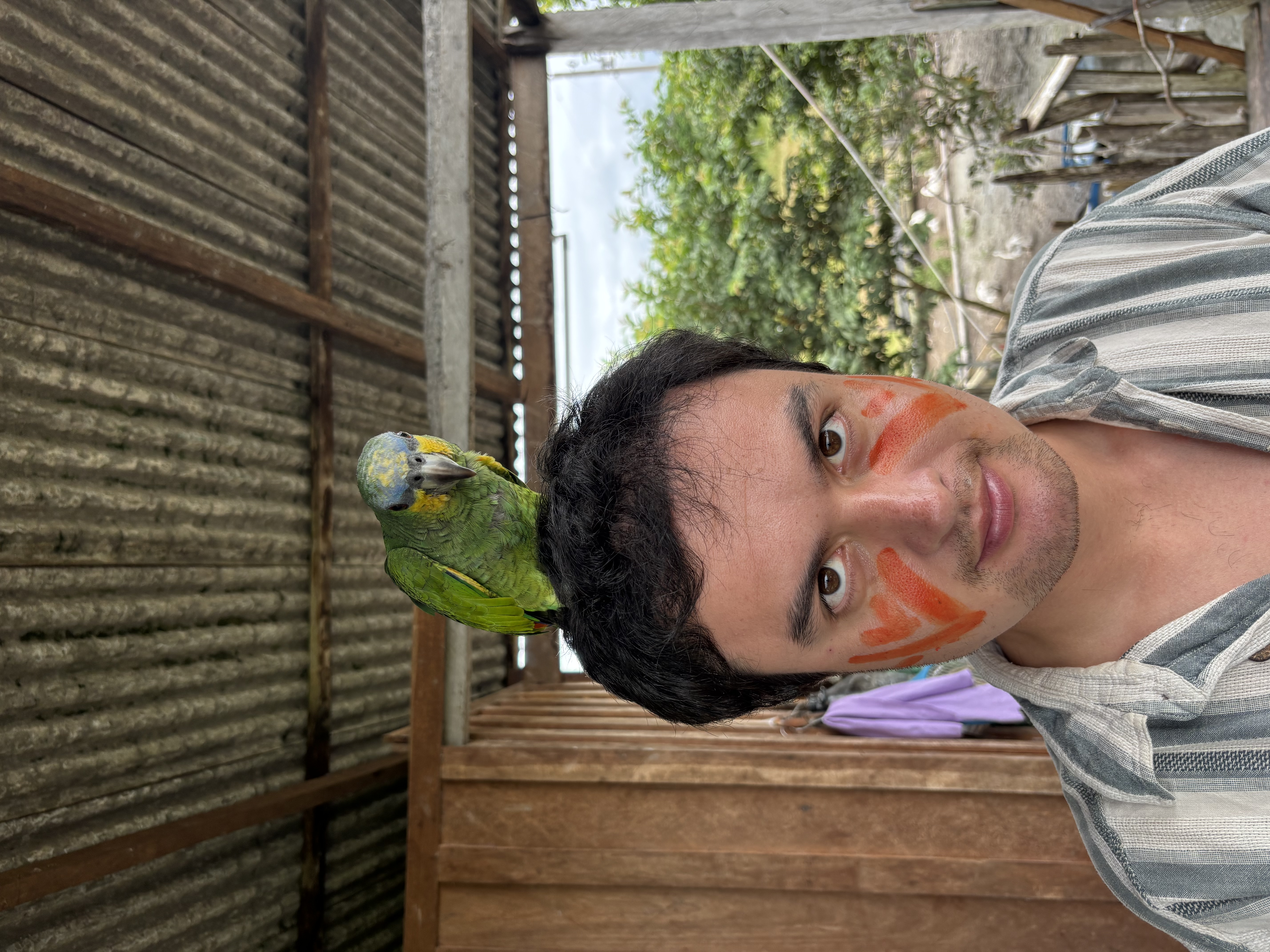 image-5