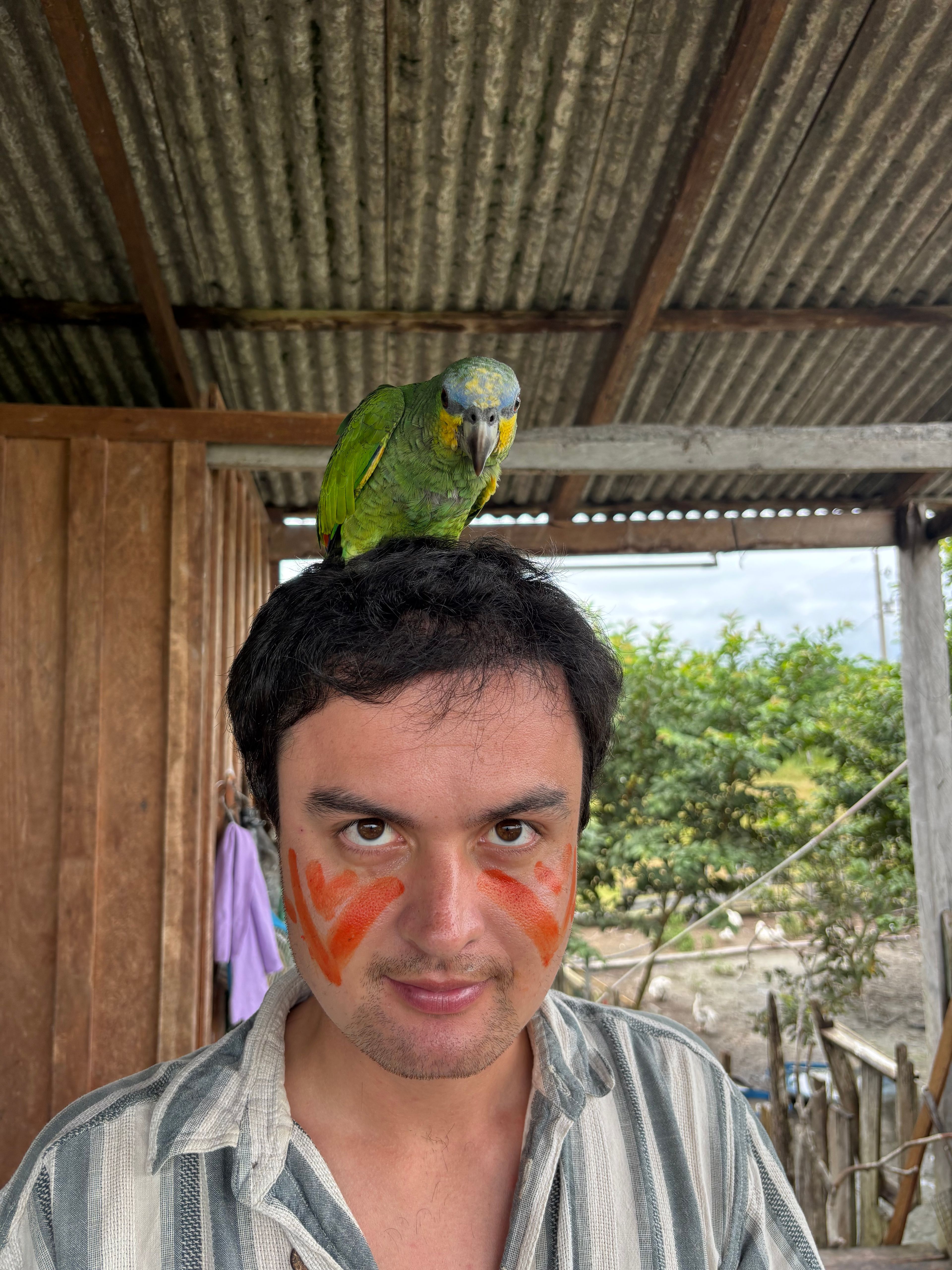 image-5