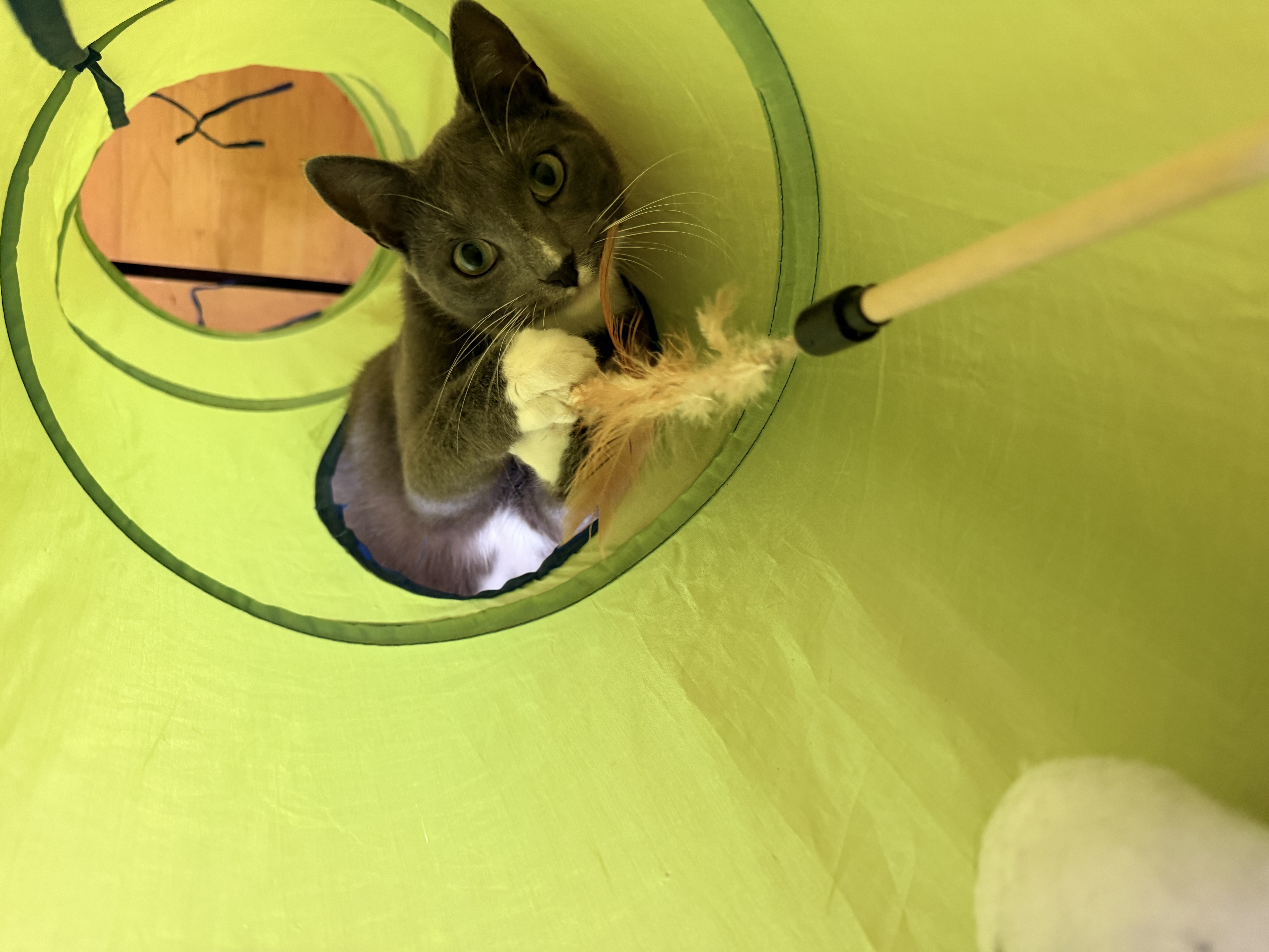 image-8