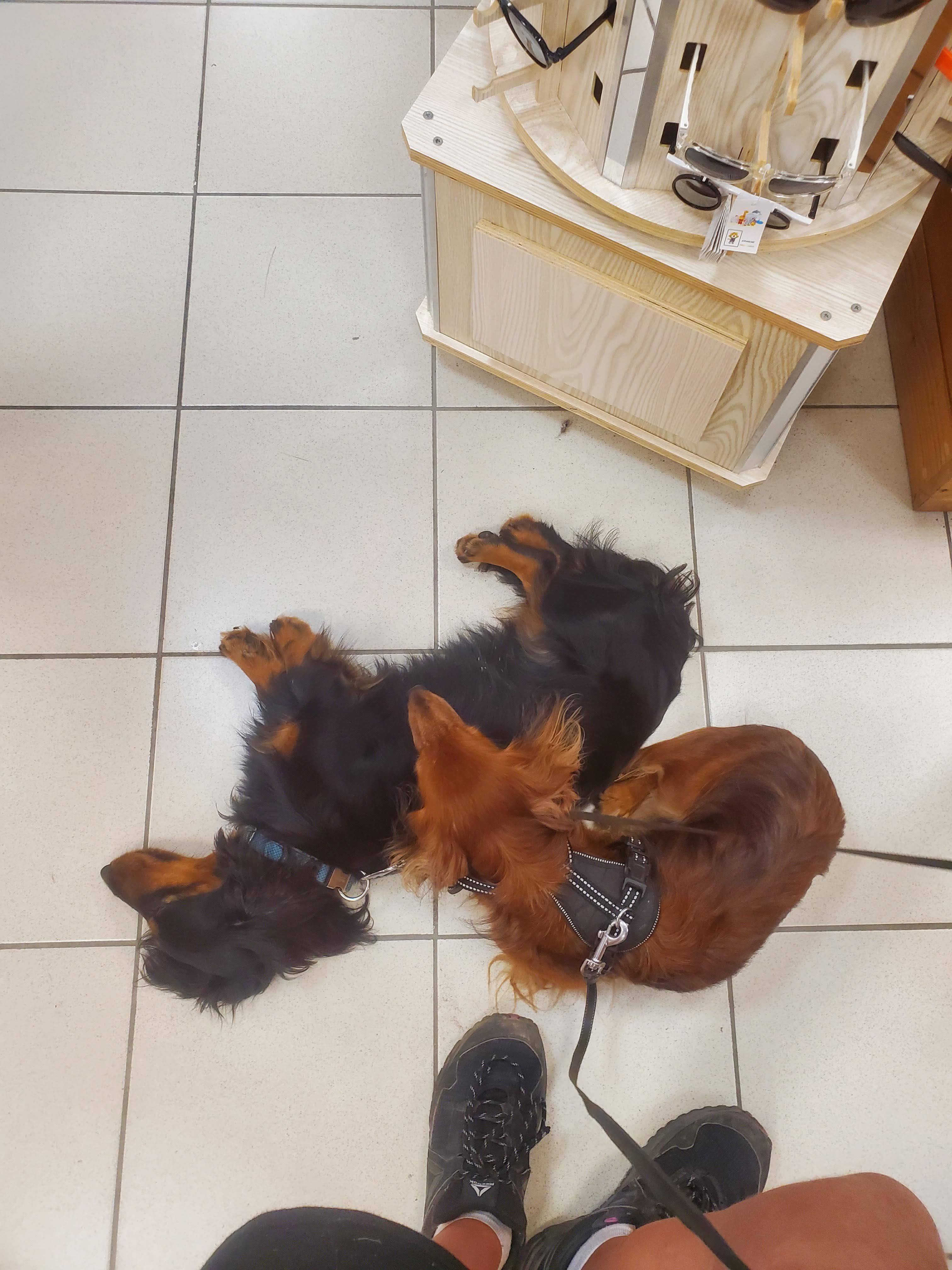 image-10