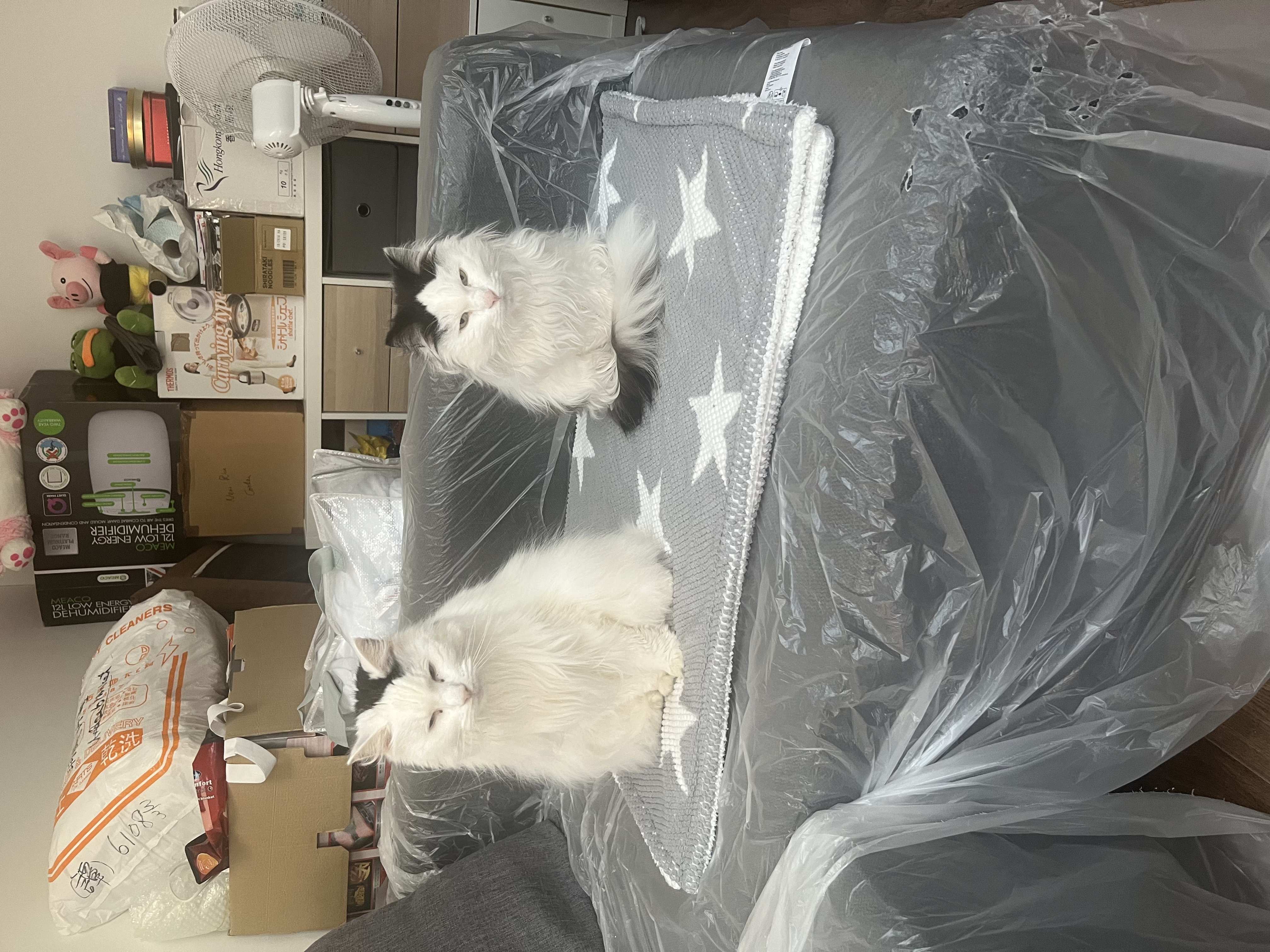 image-5