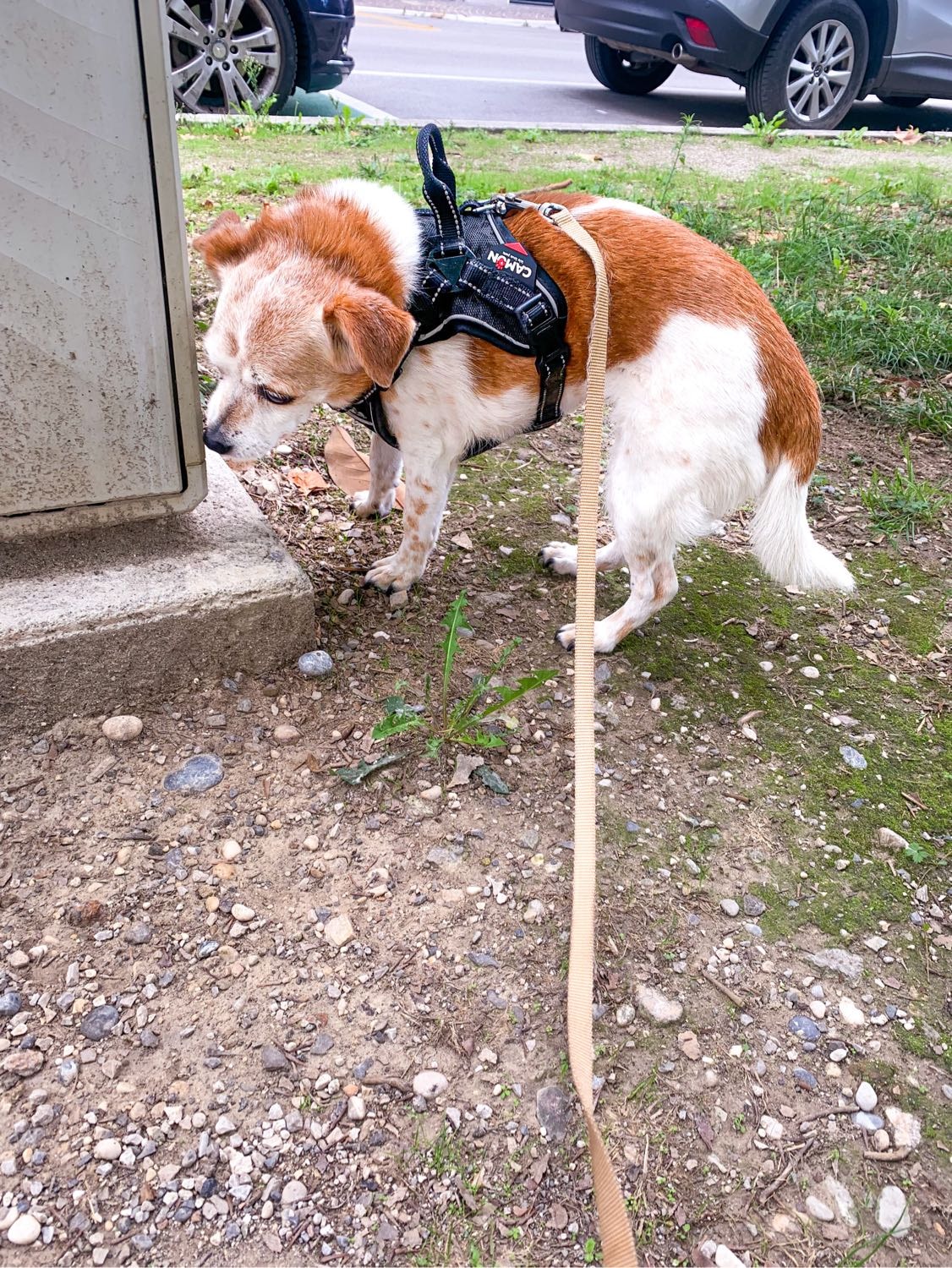 image-14