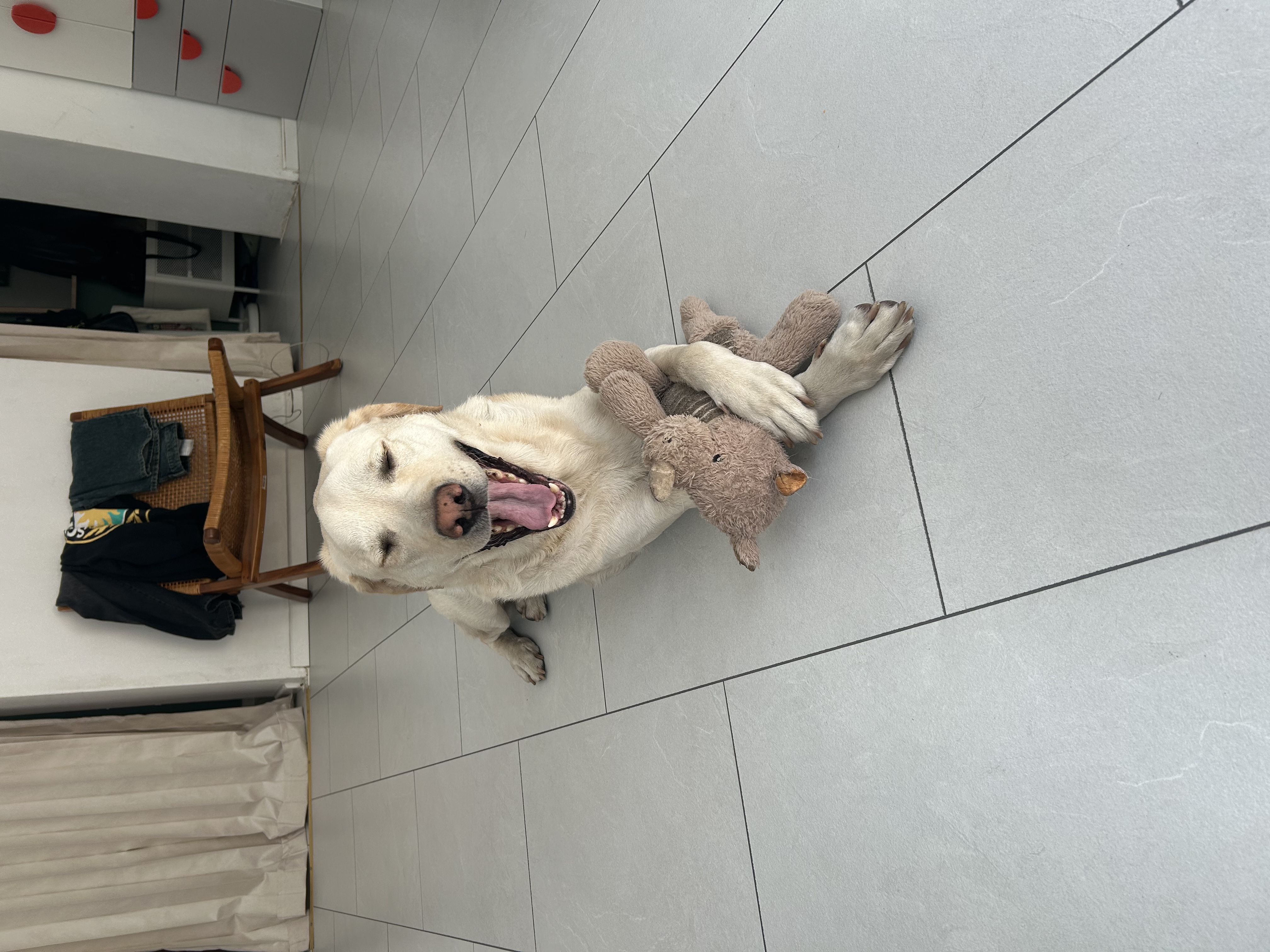 image-6