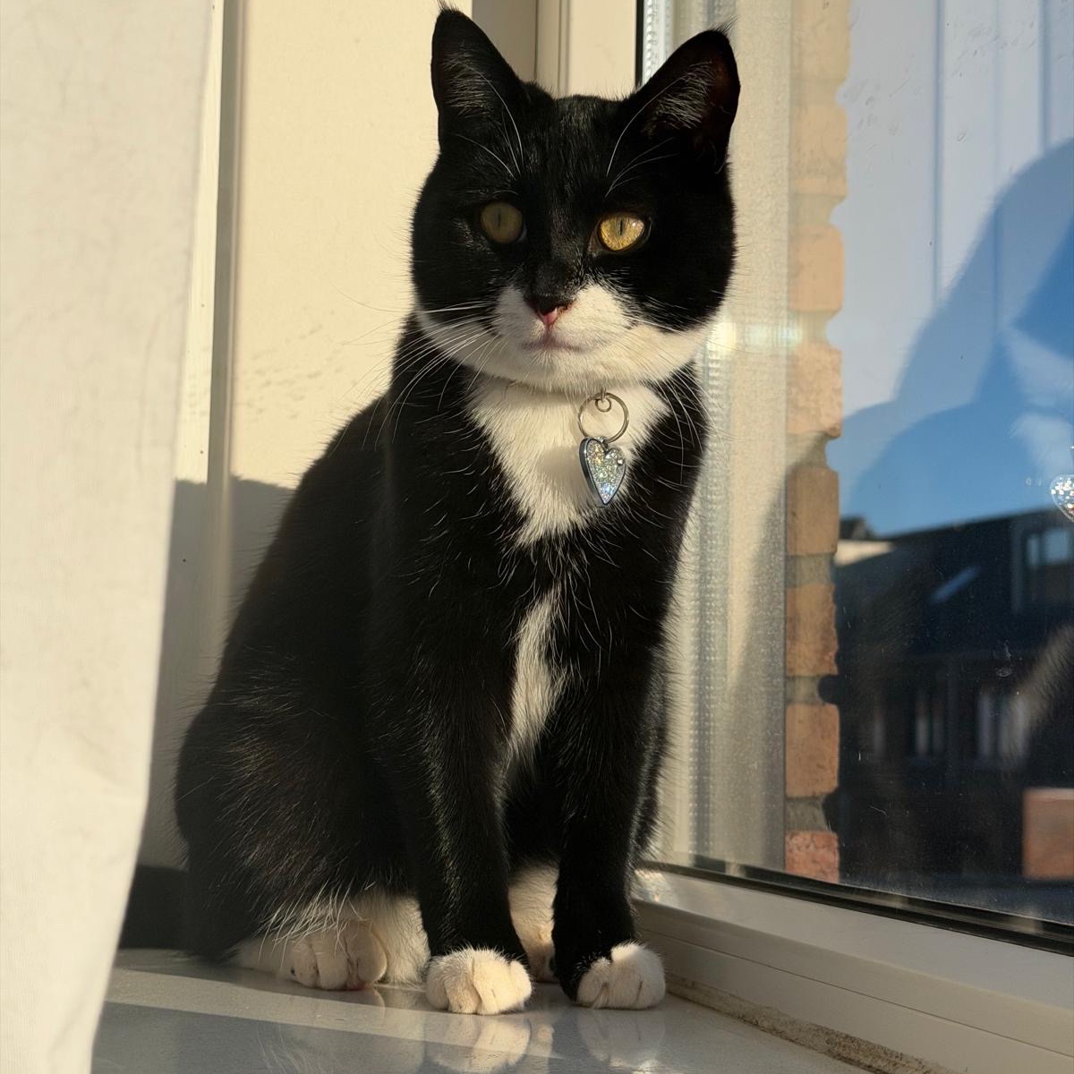 Miski Simi