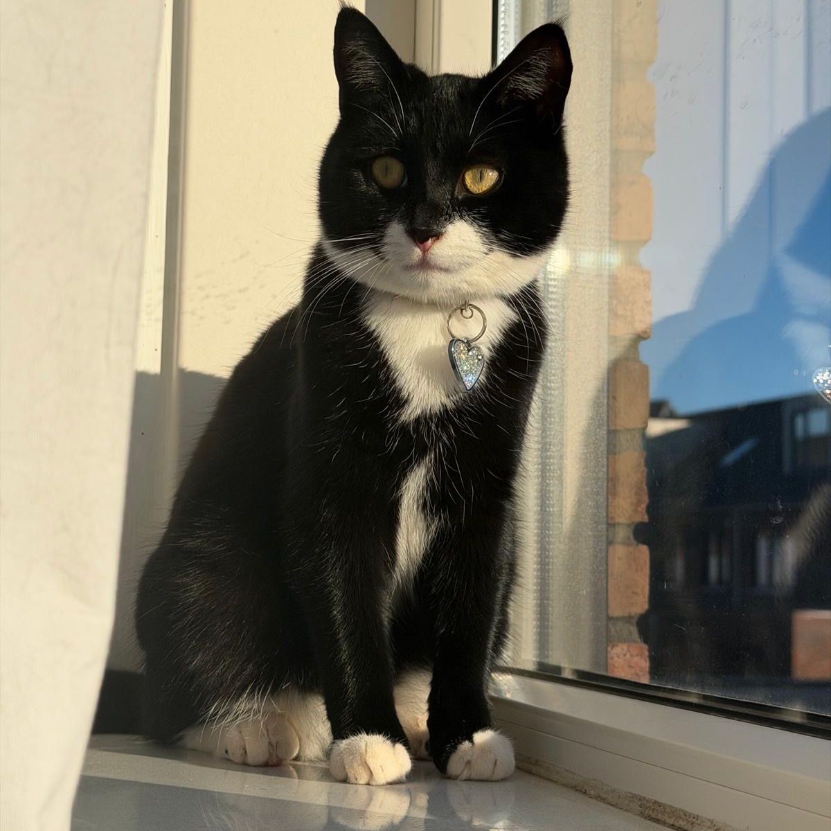 Miski Simi