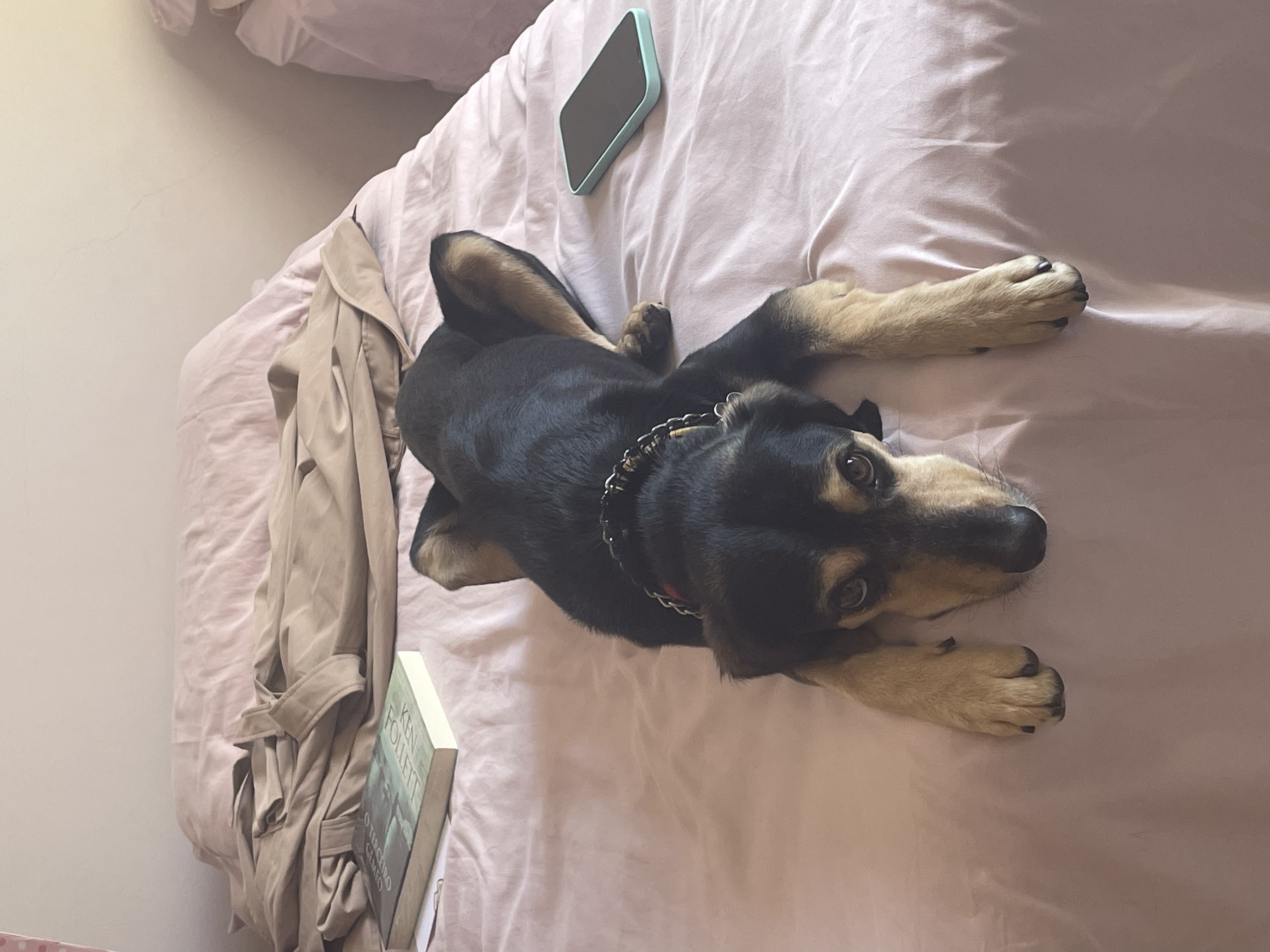 image-6