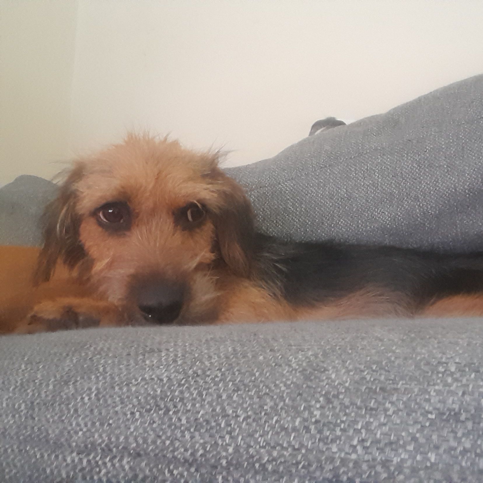 Coco