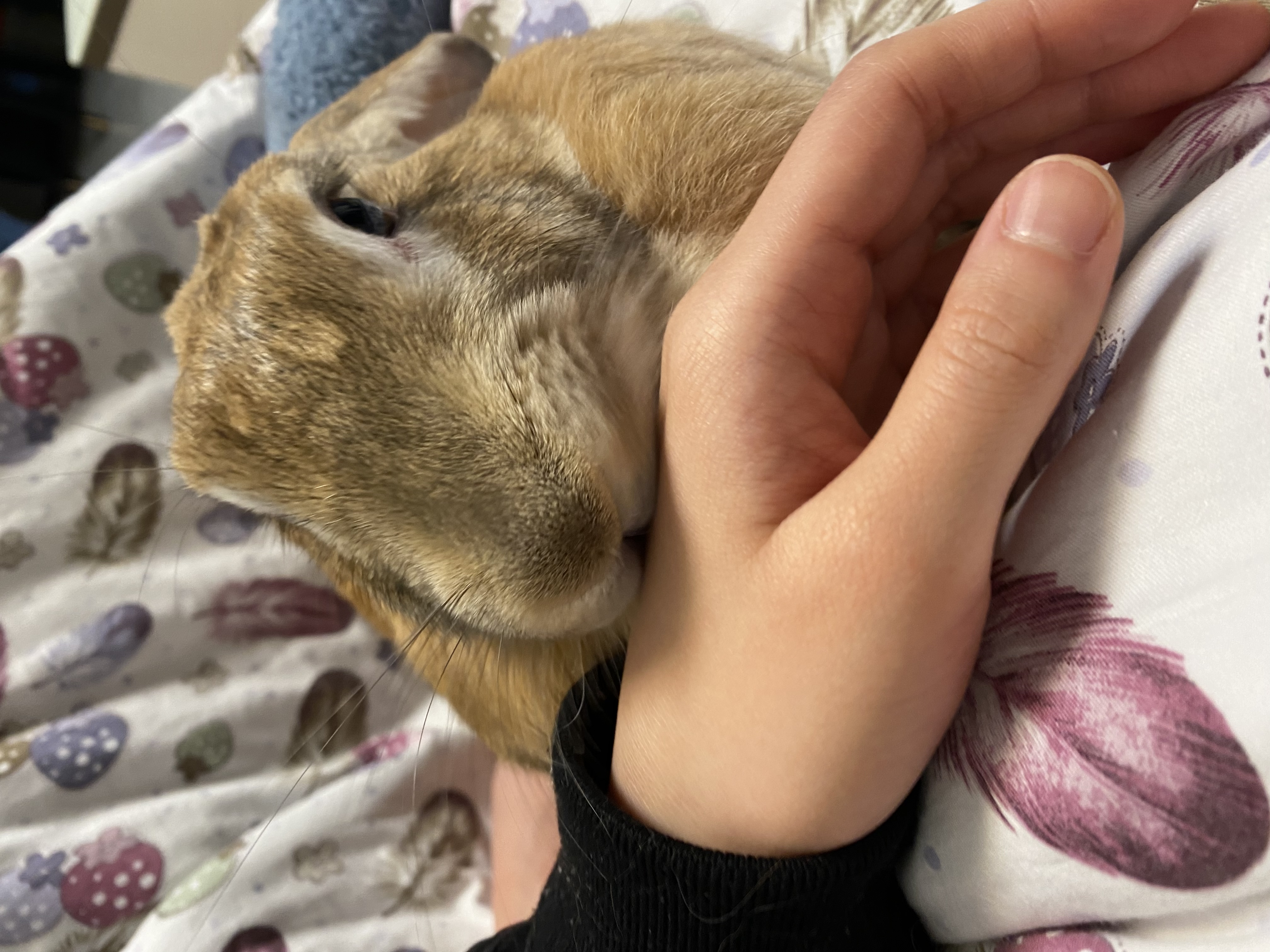 image-6
