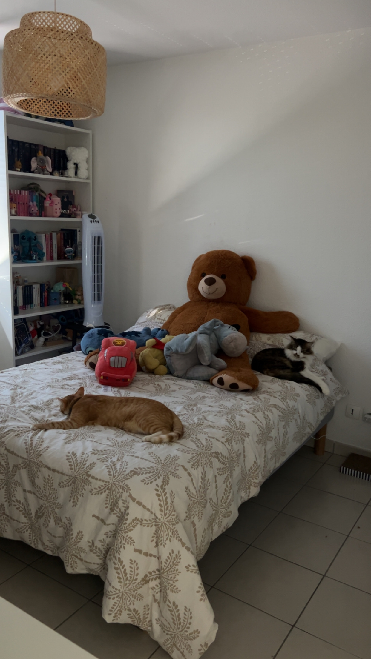 image-4