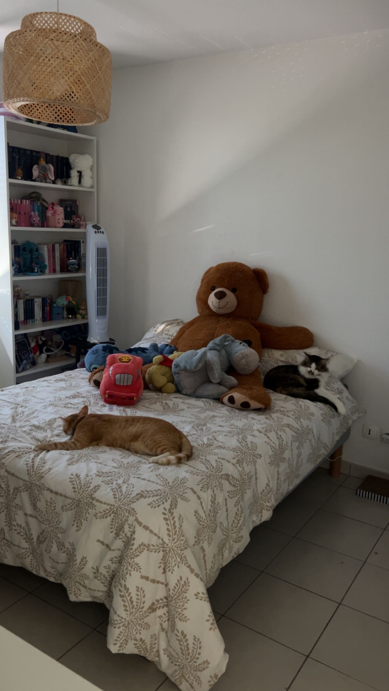 image-4