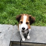 Sally