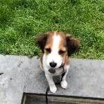 Sally