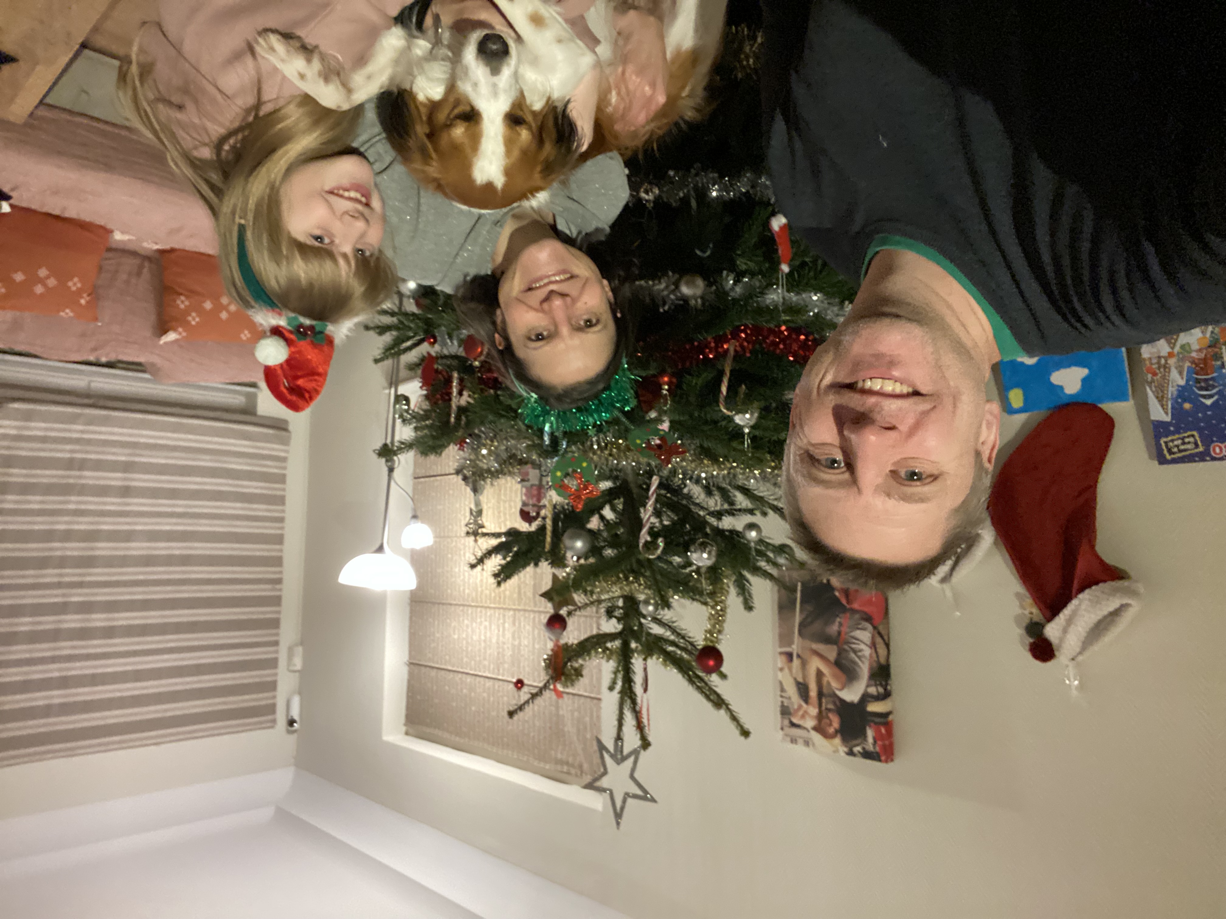 image-4