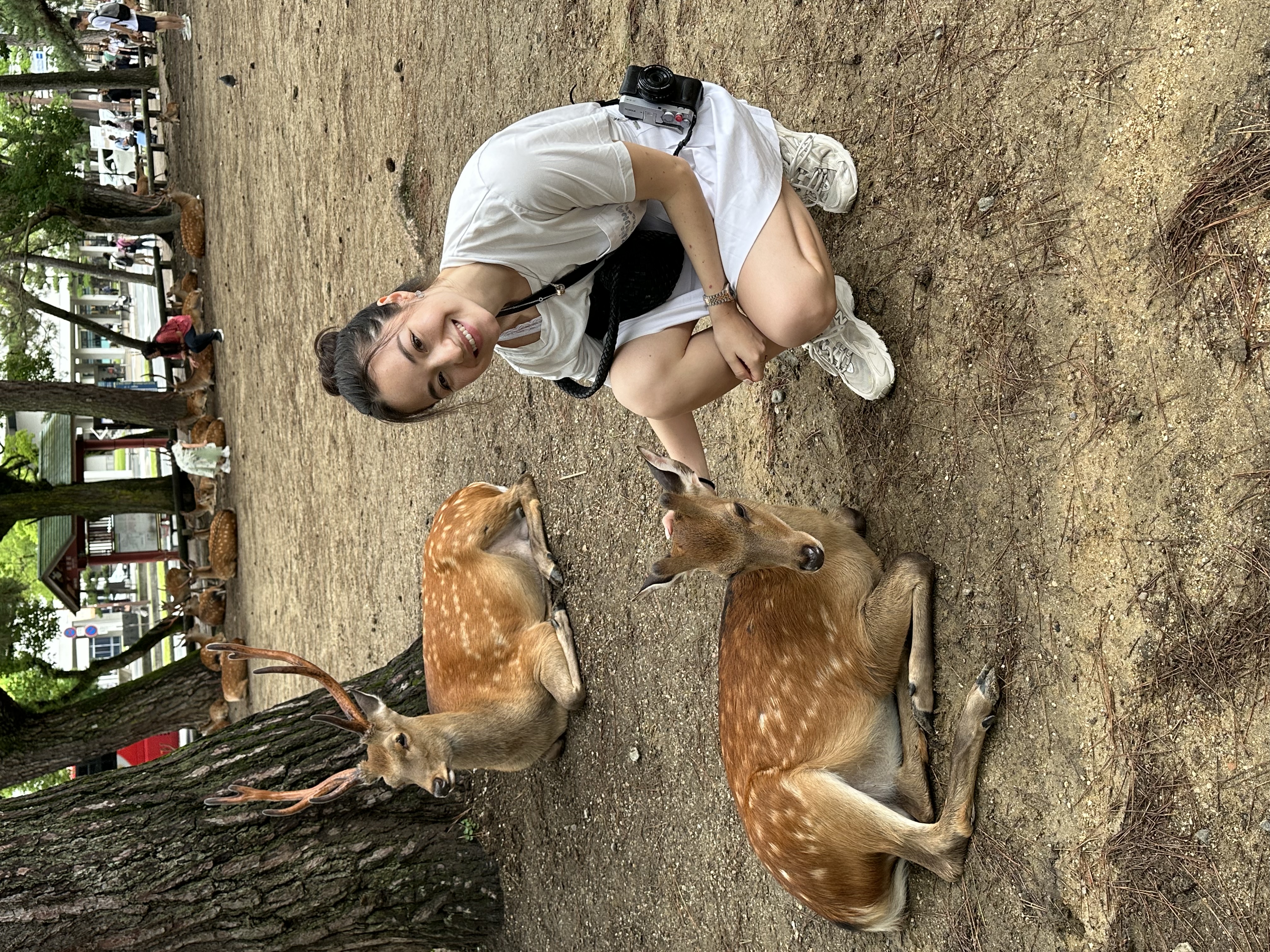 image-7