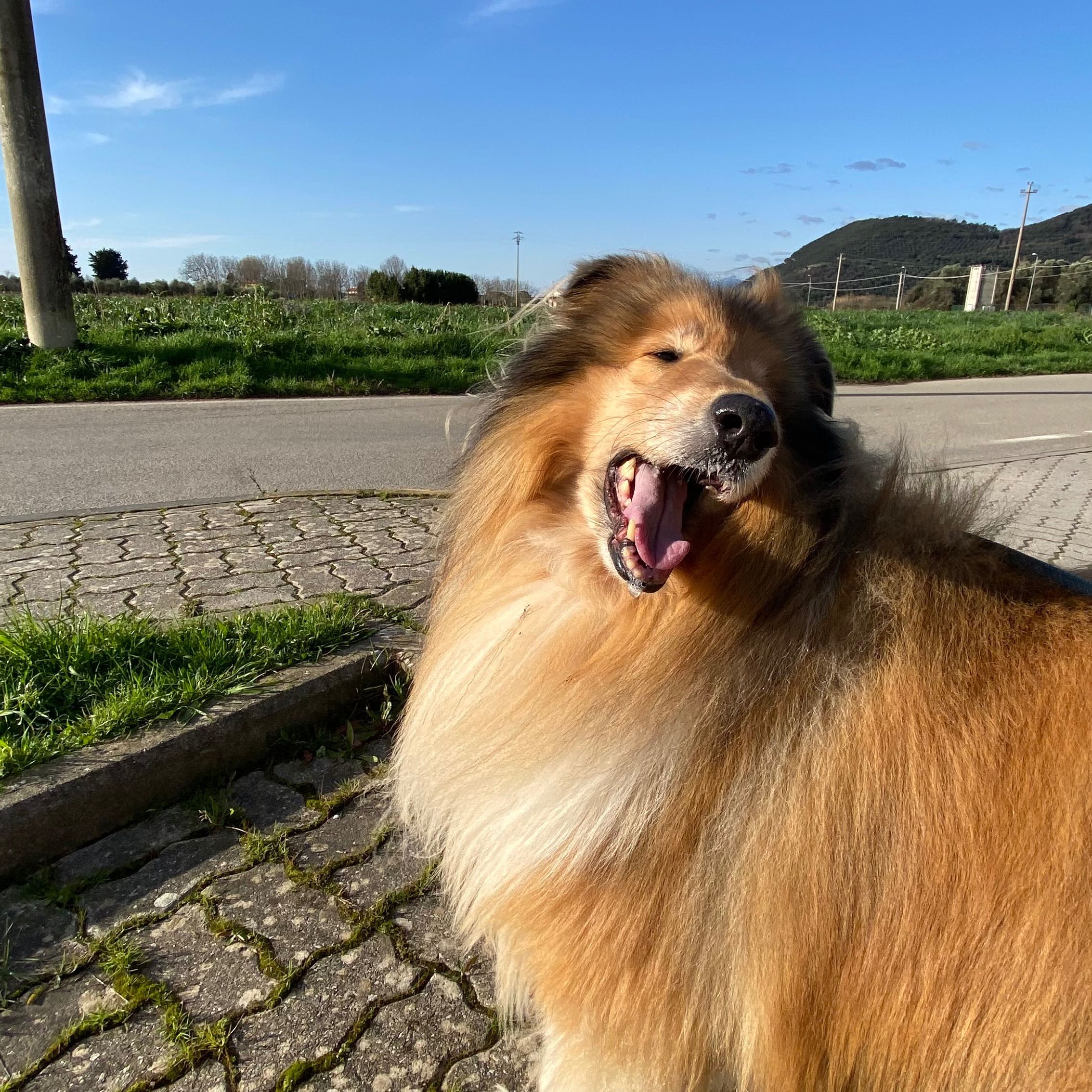 Axel